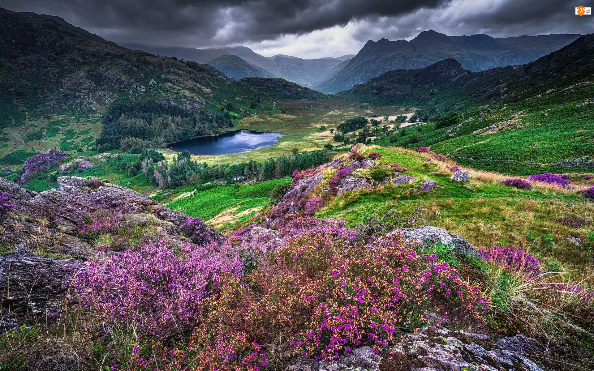 Wrzosowisko, Anglia, Góry, Chmury, Cumbria, Jezioro, Skały, Park Narodowy Lake District