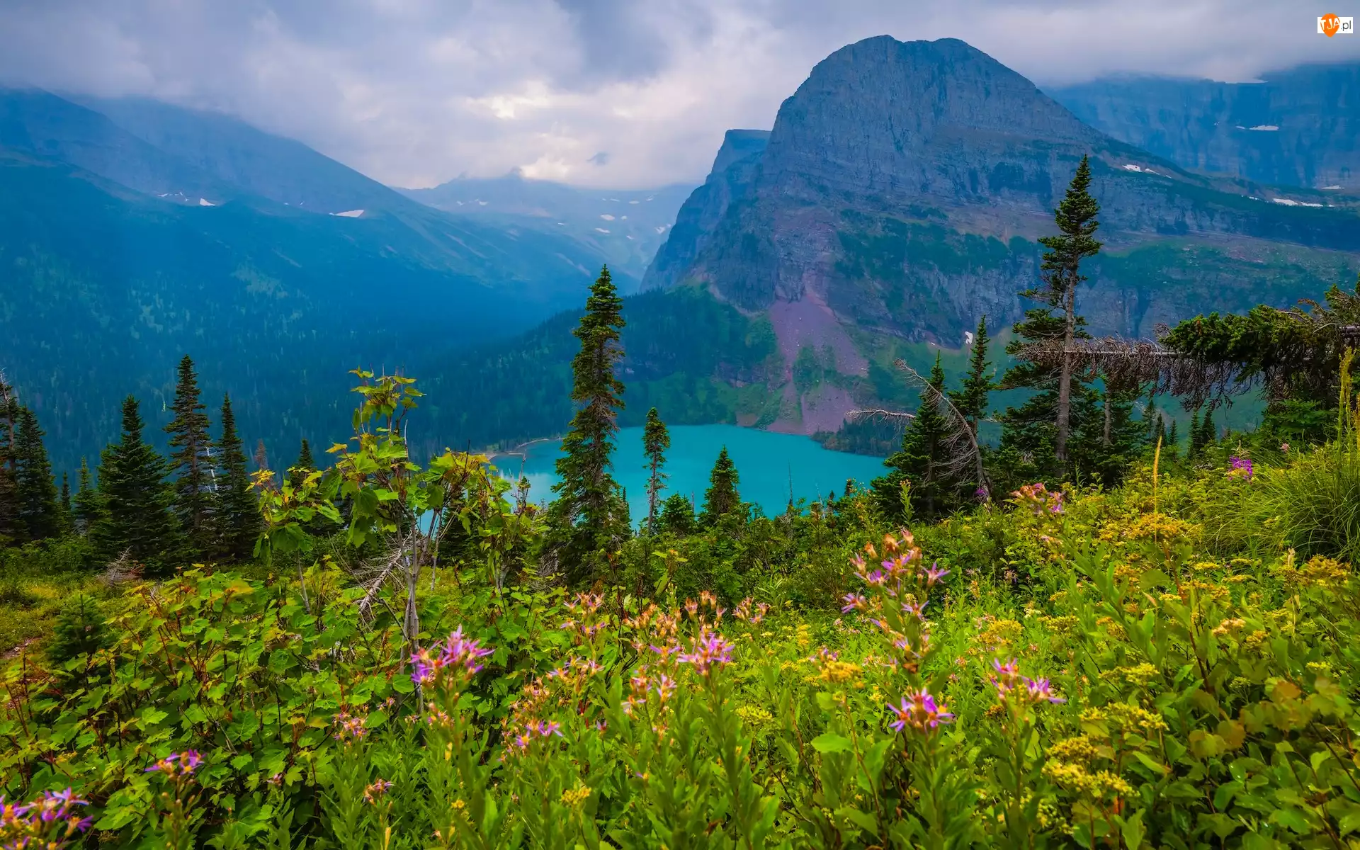 Chmury, Grinnell Lake, Łąka, Jezioro, Montana, Park Narodowy Glacier, Drzewa, Stany Zjednoczone, Góry, Rośliny