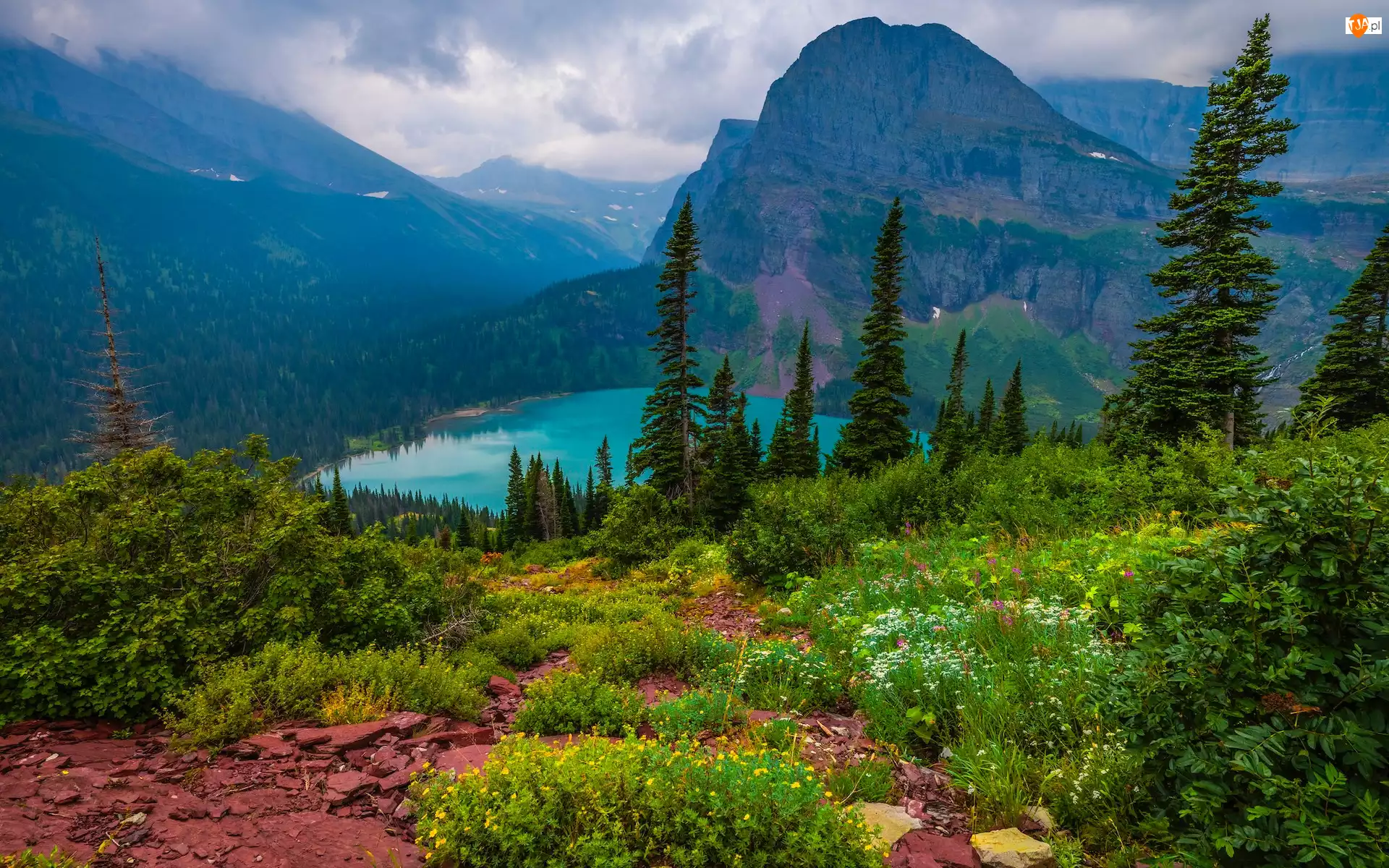 Chmury, Montana, Rośliny, Jezioro, Grinnell Lake, Stany Zjednoczone, Drzewa, Park Narodowy Glacier, Góry