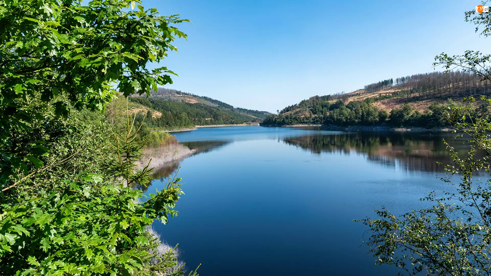 Okerstausee, Wzgórza, Niemcy, Jezioro, Okertalsperre, Gałęzie, Drzewa