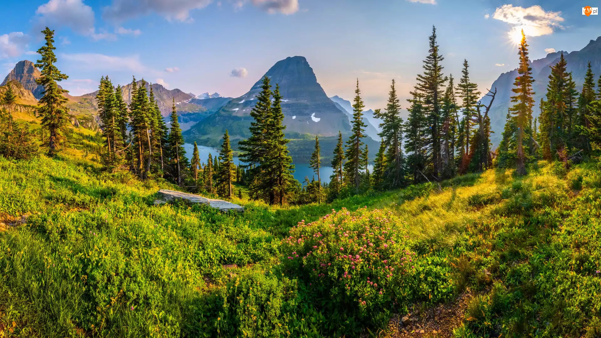 Trawa, Montana, Krzewy, Saint Mary Lake, Drzewa, Park Narodowy Glacier, Góry, Stany Zjednoczone, Jezioro