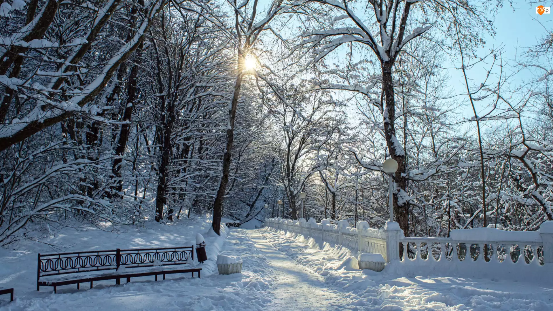 Park, Zima, Śnieg, Drzewa, Ławka, Ogrodzenie