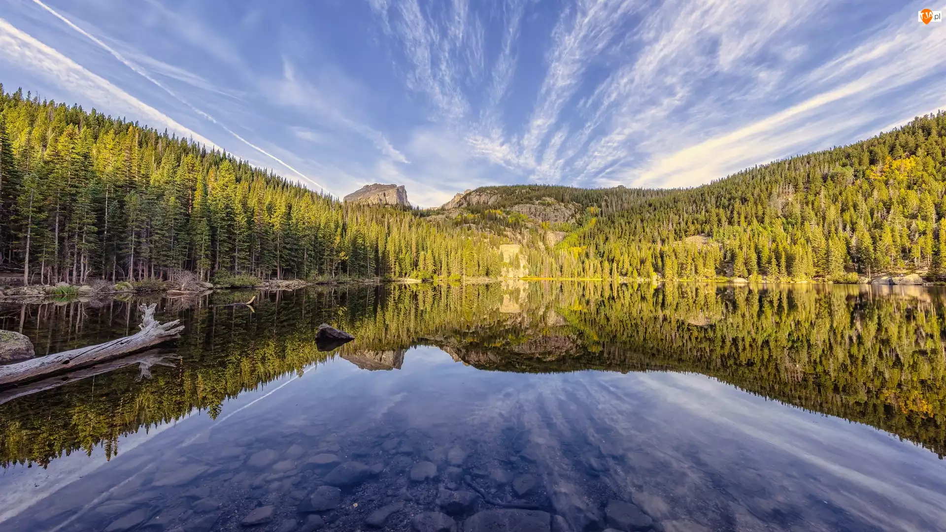 Drzewa, Jezioro, Stan Kolorado, Las, Bear Lake, Stany Zjednoczone, Odbicie, Park Narodowy Gór Skalistych