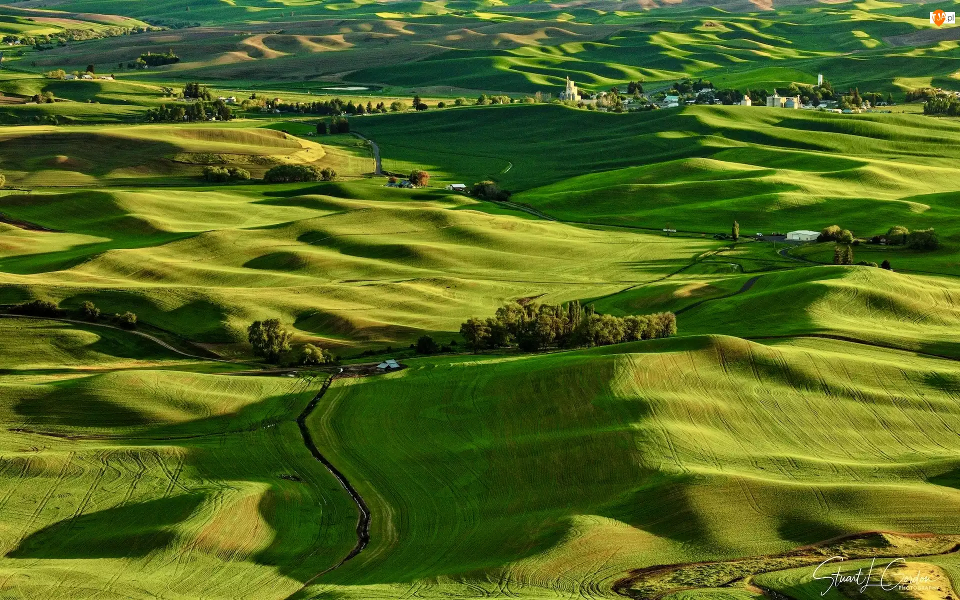 Łąki, Stany Zjednoczone, Wzgórza, Domy, Stan Waszyngton, Pola, Drzewa, Palouse