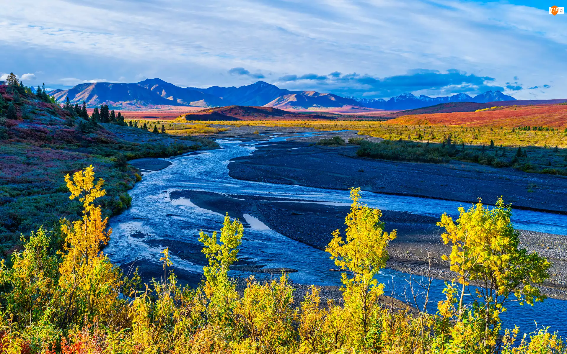 Stany Zjednoczone, Jesień, Niebo, Roślinność, Góry, Park Narodowy Denali, Savage River, Rzeka, Drzewa, Alaska