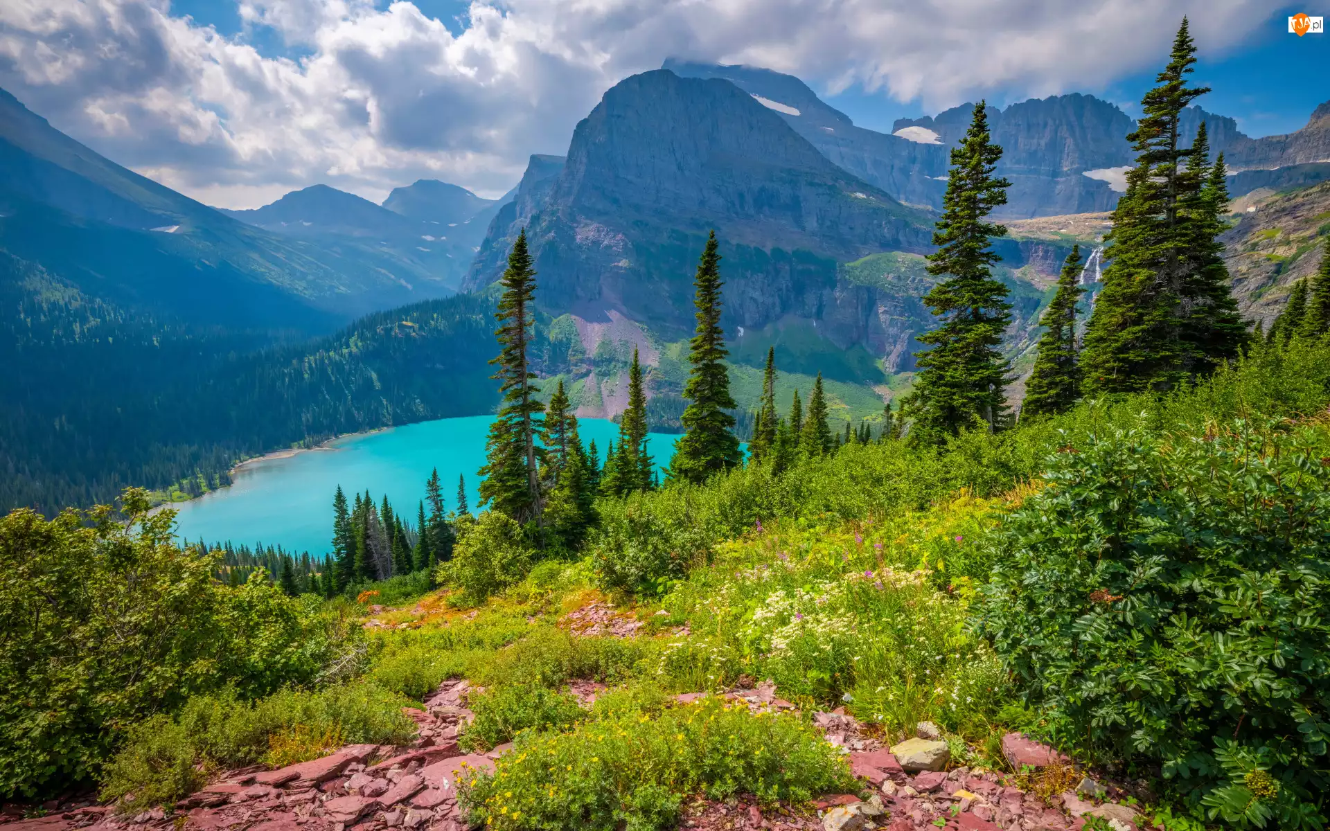 Zieleń, Park Narodowy Glacier, Grinnell Lake, Chmury, Góry, Drzewa, Stany Zjednoczone, Jezioro