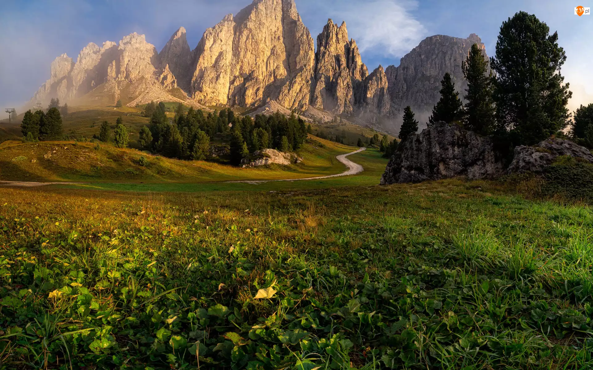 Drzewa, Góry, Łąki, Południowy Tyrol, Dolomity, Droga, Włochy, Mgła