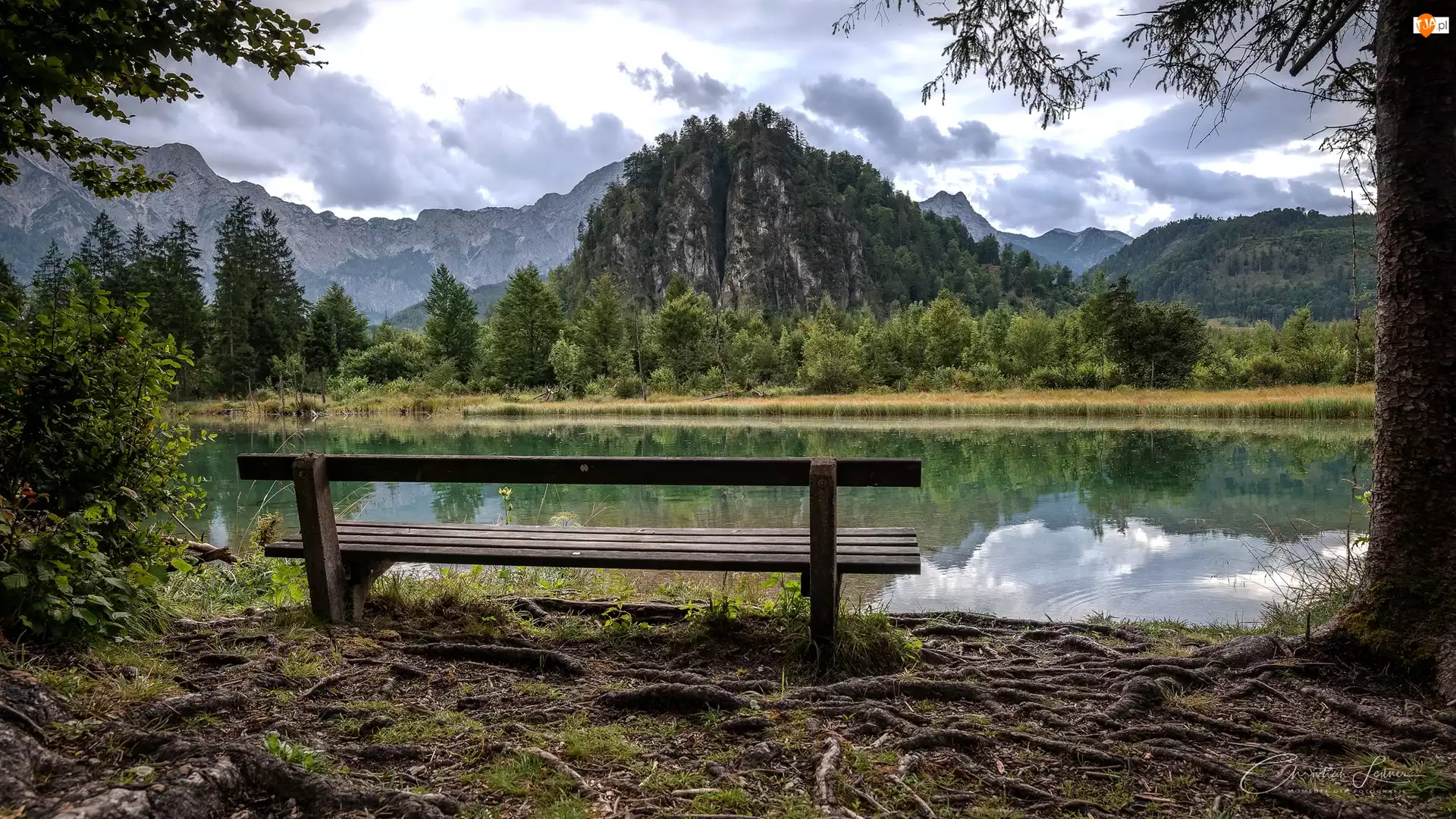 Góry, Austria, Almsee, Drzewa, Jezioro, Ławka