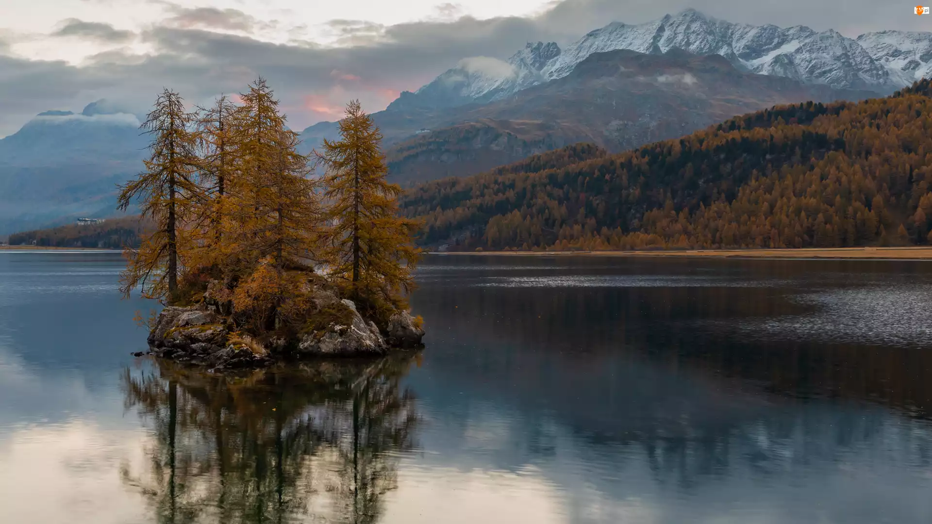 Jezioro Silsersee, Szwajcaria, Drzewa, Wzgórza, Wyspa, Zalesione