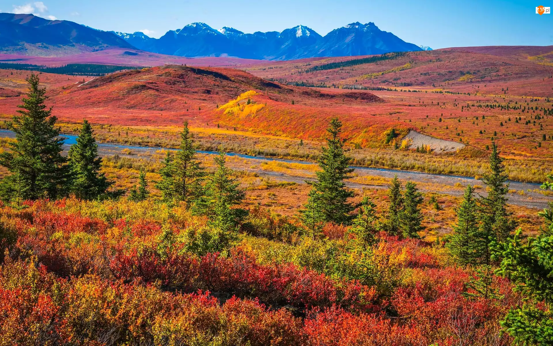 Alaska, Park Narodowy Denali, Droga, Stany Zjednoczone, Drzewa, Jesień, Góry