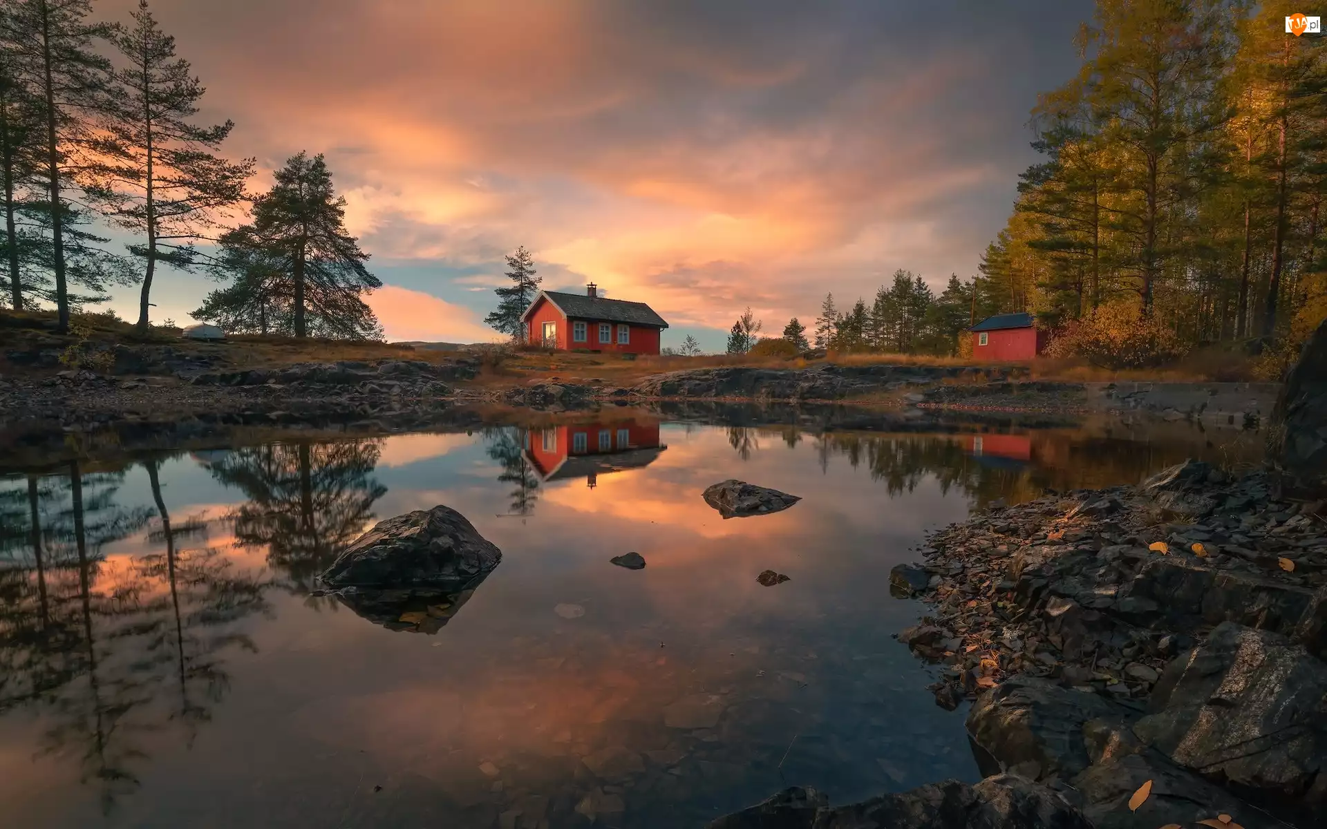 Ringerike, Norwegia, Drzewa, Odbicie, Jezioro Vaeleren, Dom