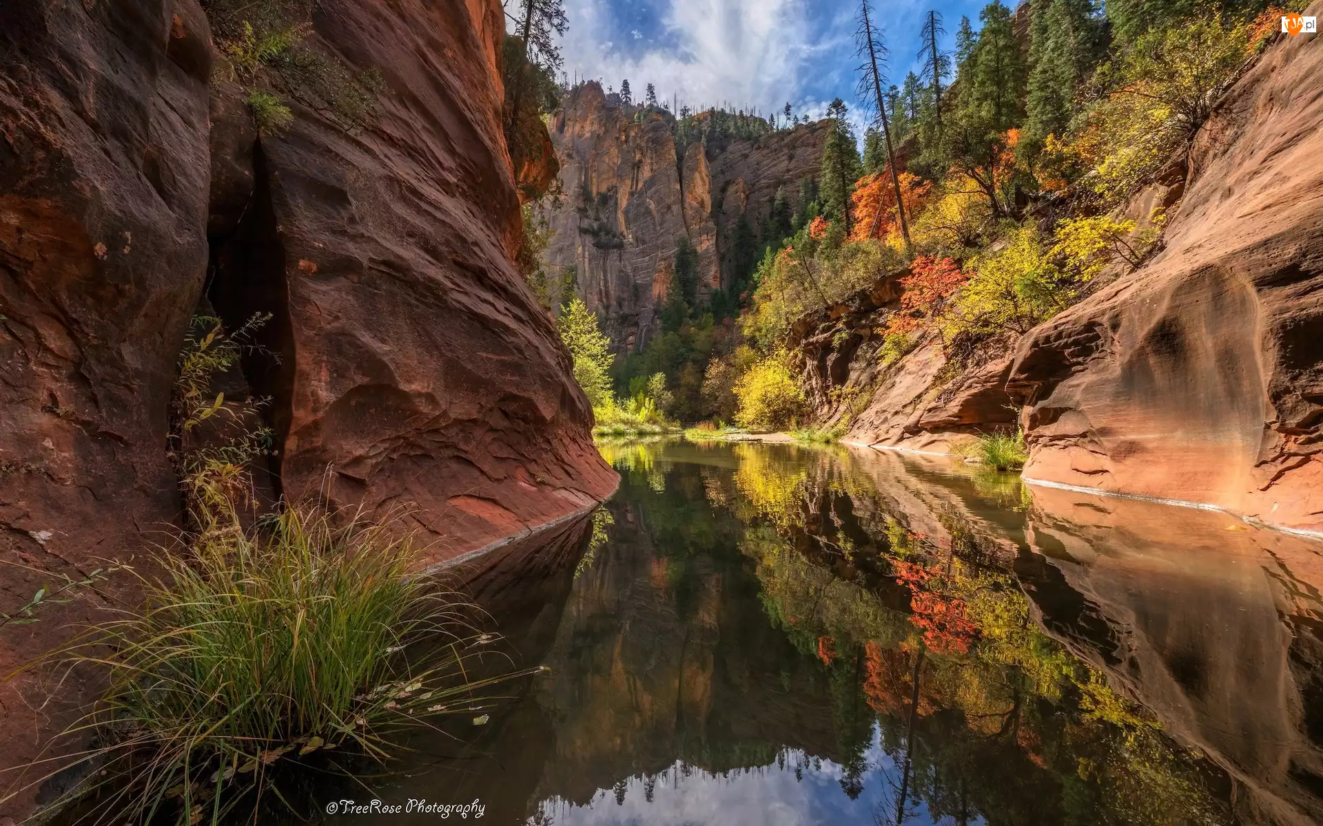 Rzeka, Stany Zjednoczone, Skały, West Fork of Oak Creek, Arizona, Wąwóz, Drzewa, Sedona