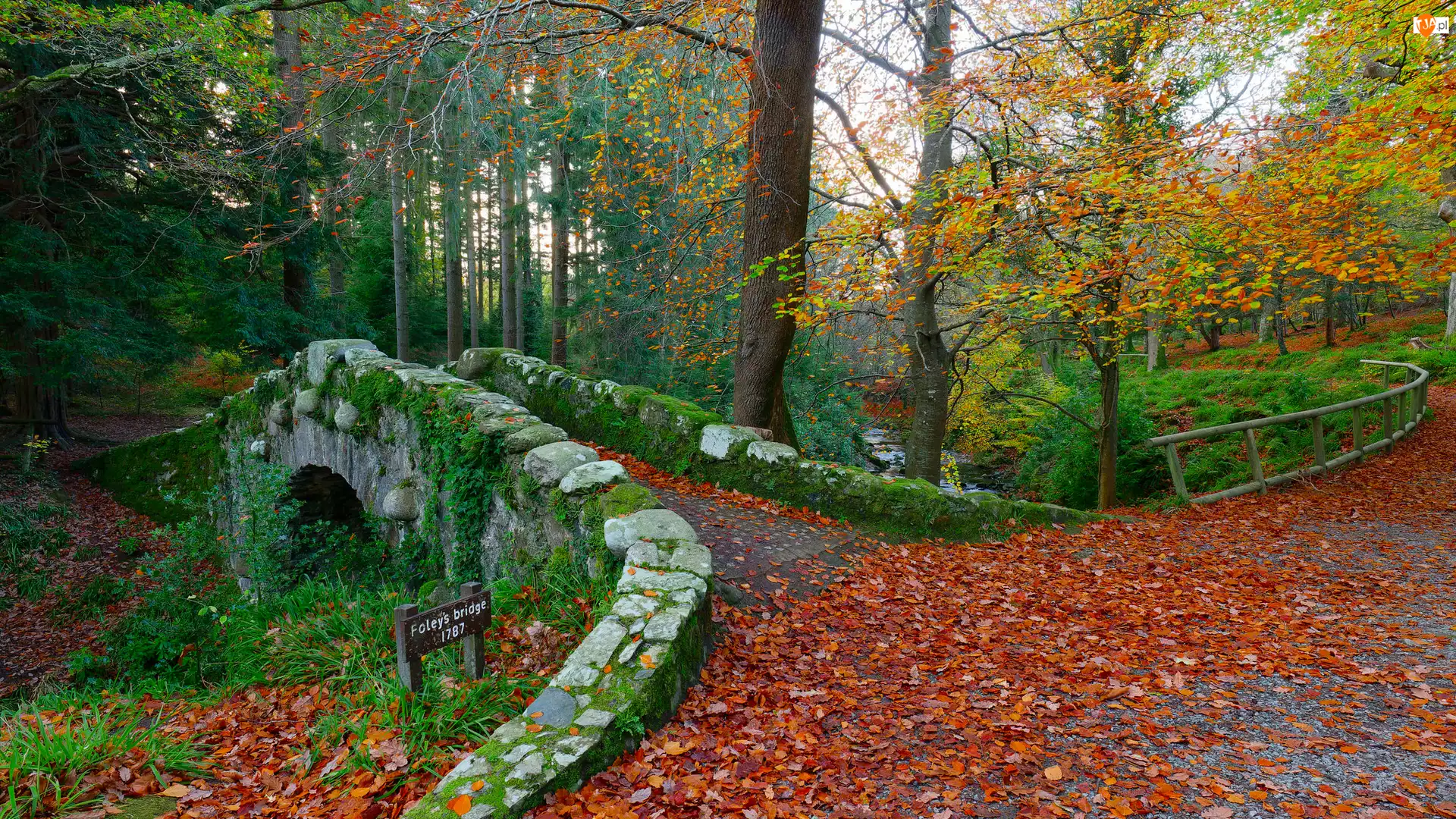 Jesień, Kamień, Las, Tollymore Forest Park, Most, Drzewo, Irlandia, Foleys Bridge