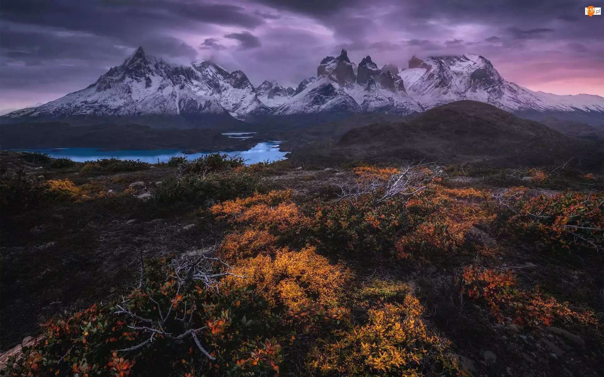 Patagonia, Chile, Góry, Roślinność, Park Narodowy Torres del Paine, Jesień