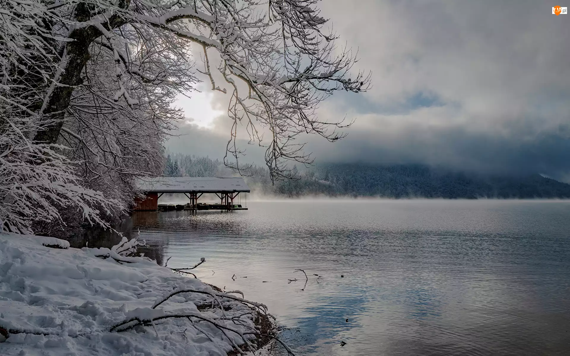 Chmury, Bawaria, Mgła, Gałązki, Śnieg, Zima, Jezioro Alpsee, Niemcy, Drzewa