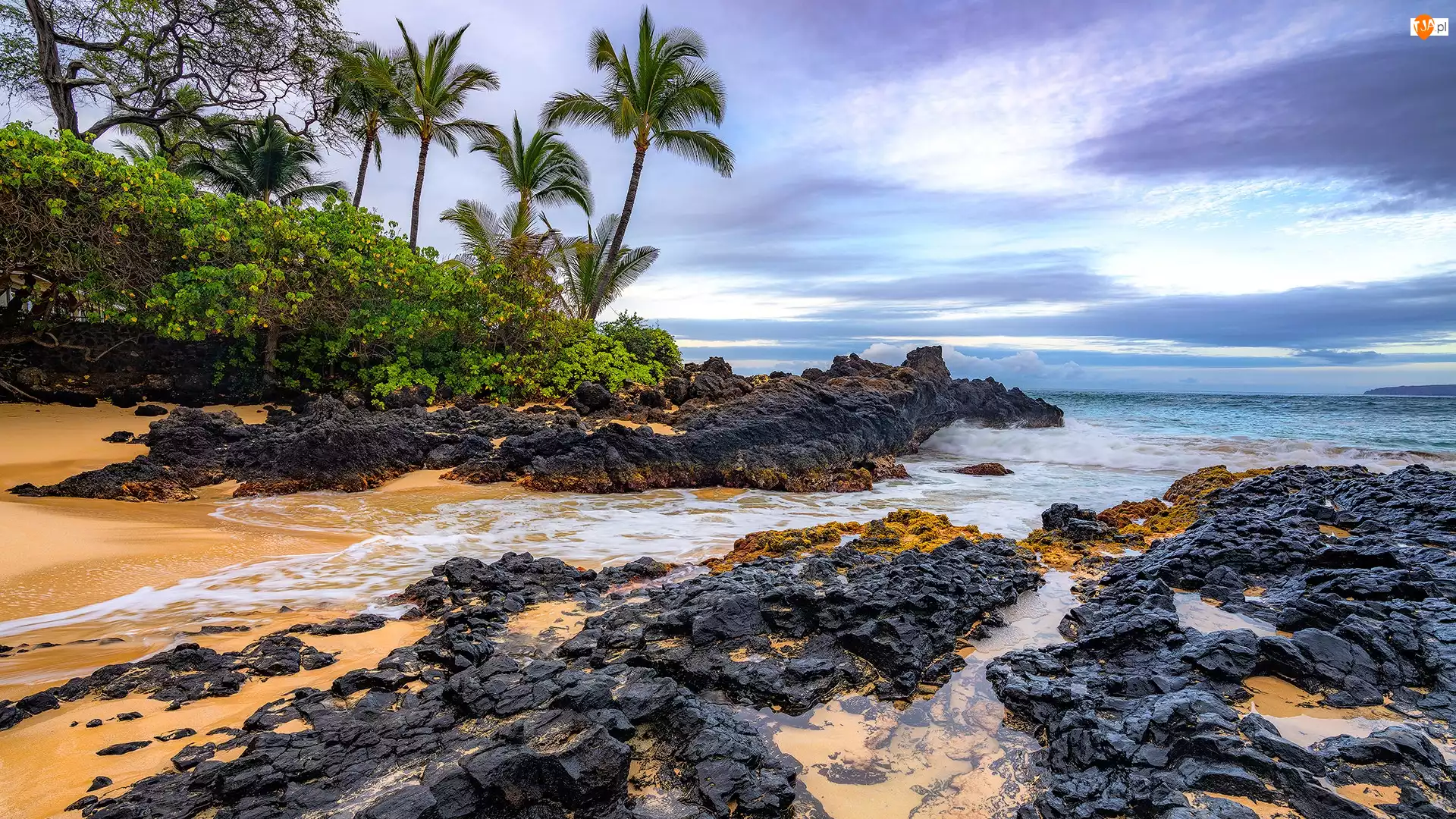 Maui, Morze, Skały, Hawaje, Palmy, Secret Beach, Stany Zjednoczone, Plaża