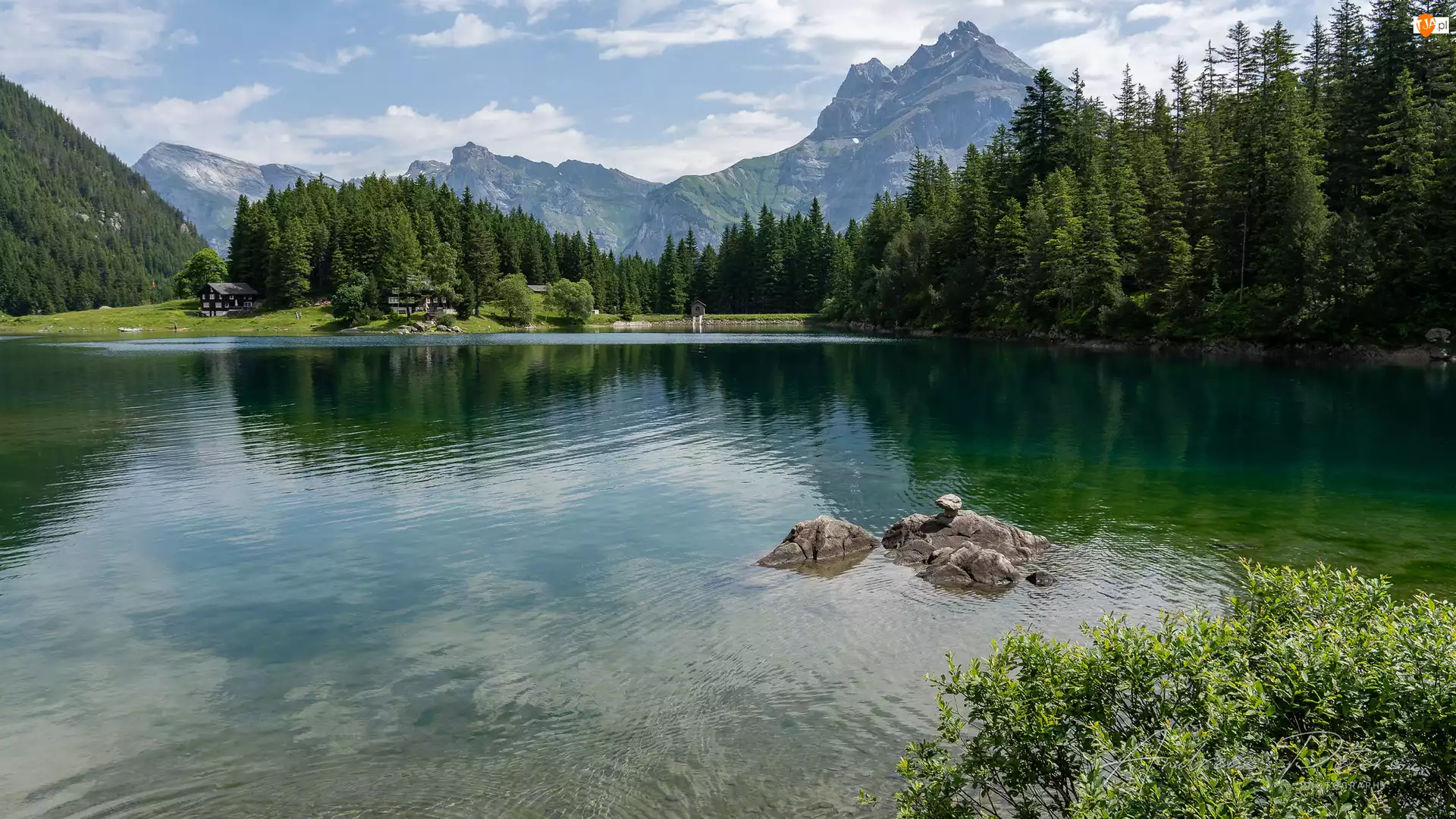 Las, Zbiornik zaporowy, Góry, Kanton Uri, Jezioro, Drzewa, Szwajcaria, Arnisee