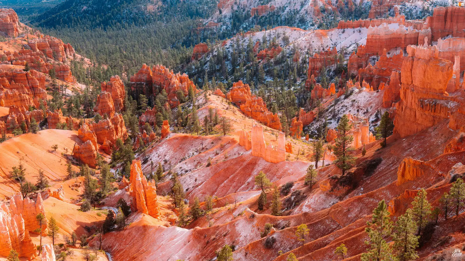 Stany Zjednoczone, Skały, Park Narodowy Bryce Canyon, Stan Utah