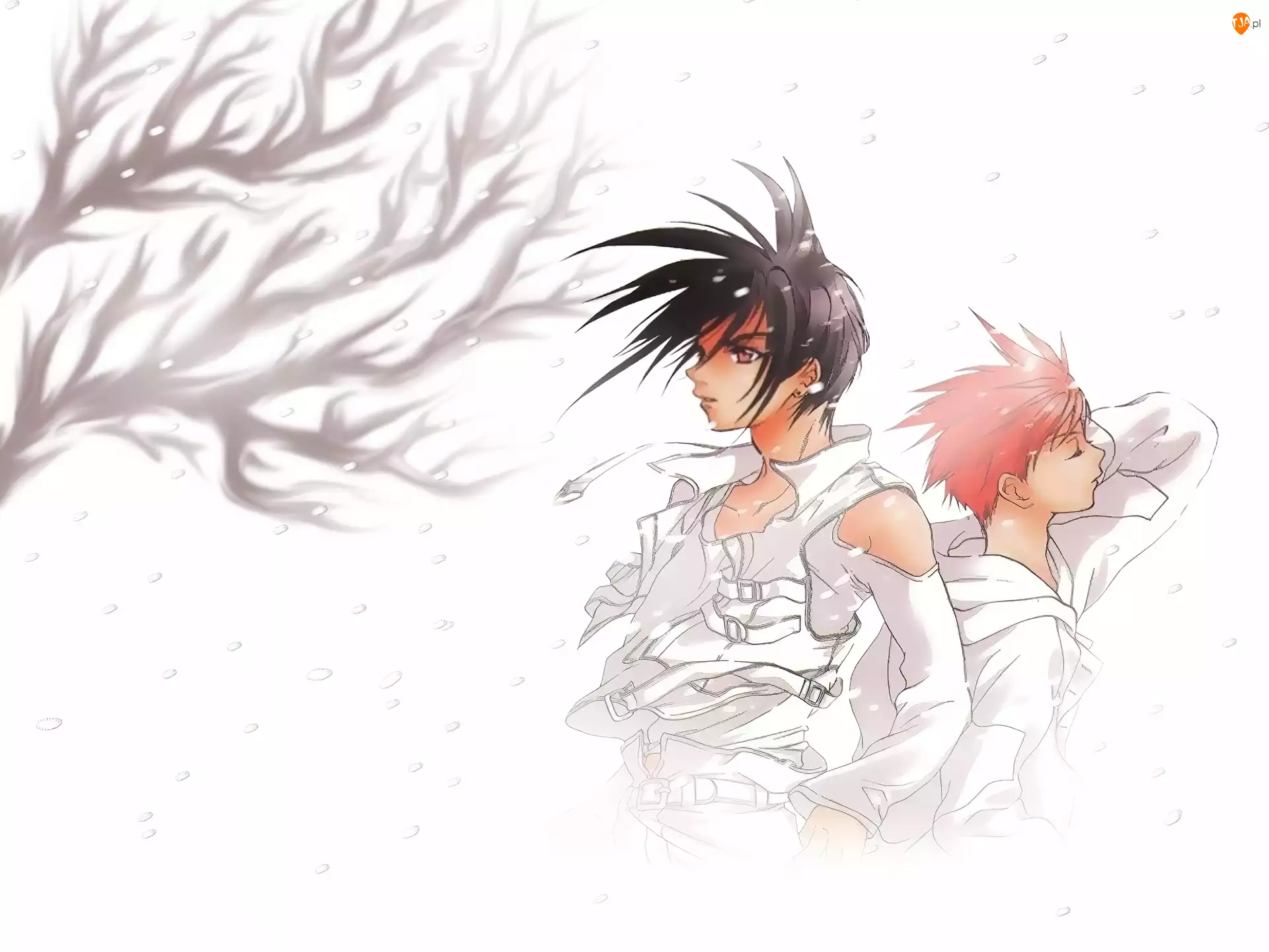 postacie, D N Angel, śnieg, drzewo