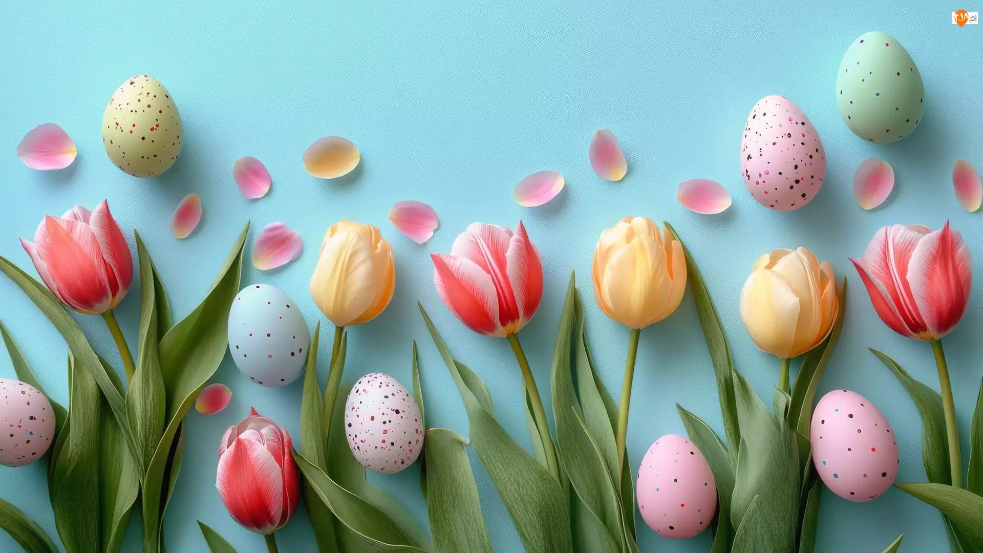 Tulipany, Tło, Pisanki, Wielkanoc, Płatki