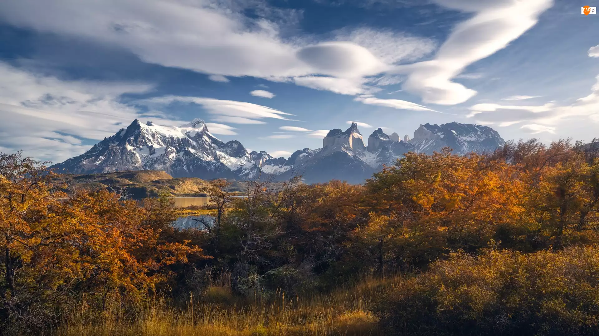 Patagonia, Chile, Góry, Drzewa, Park Narodowy Torres del Paine, Jesień