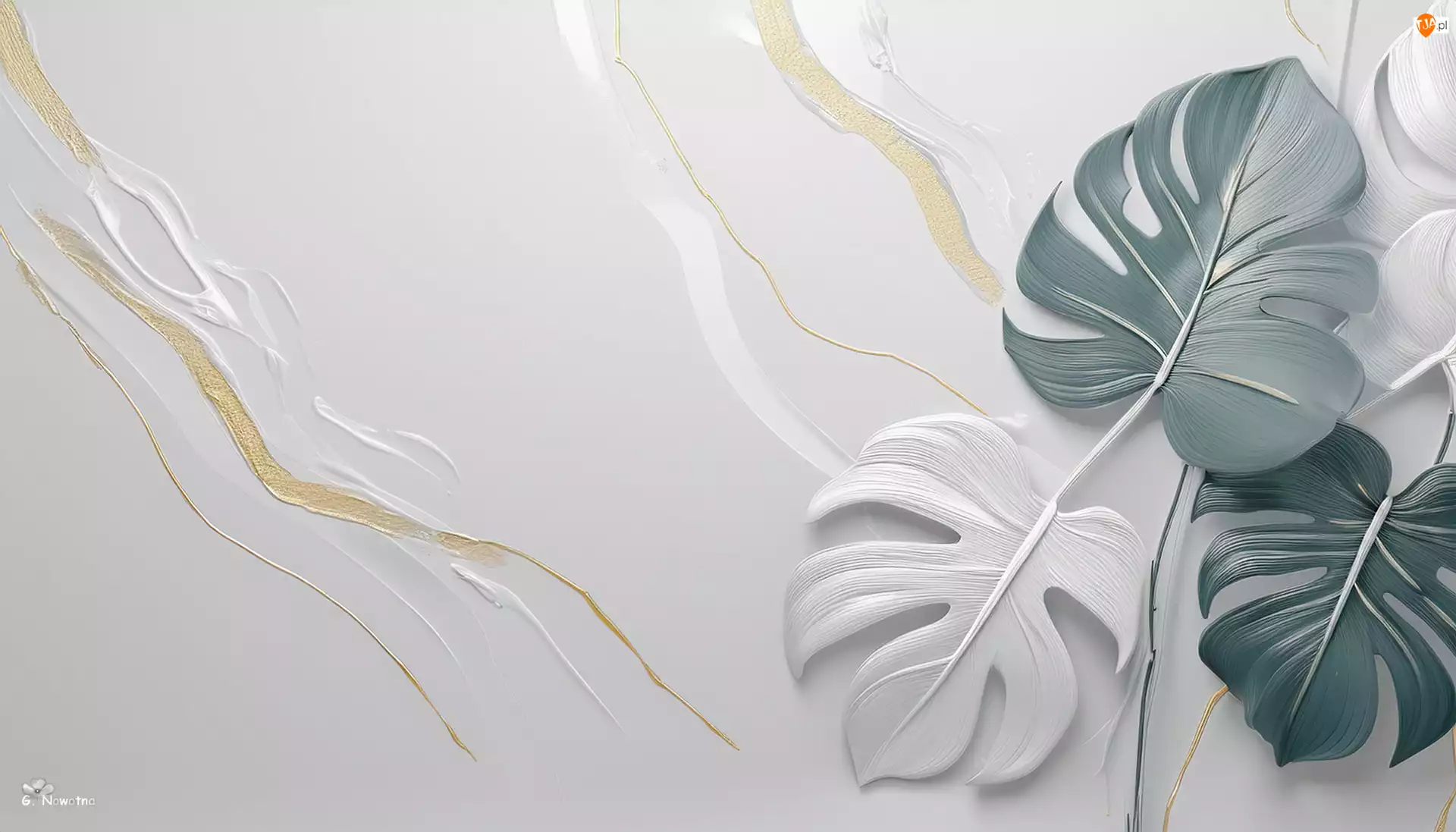 Grafika, Monstera, Liście