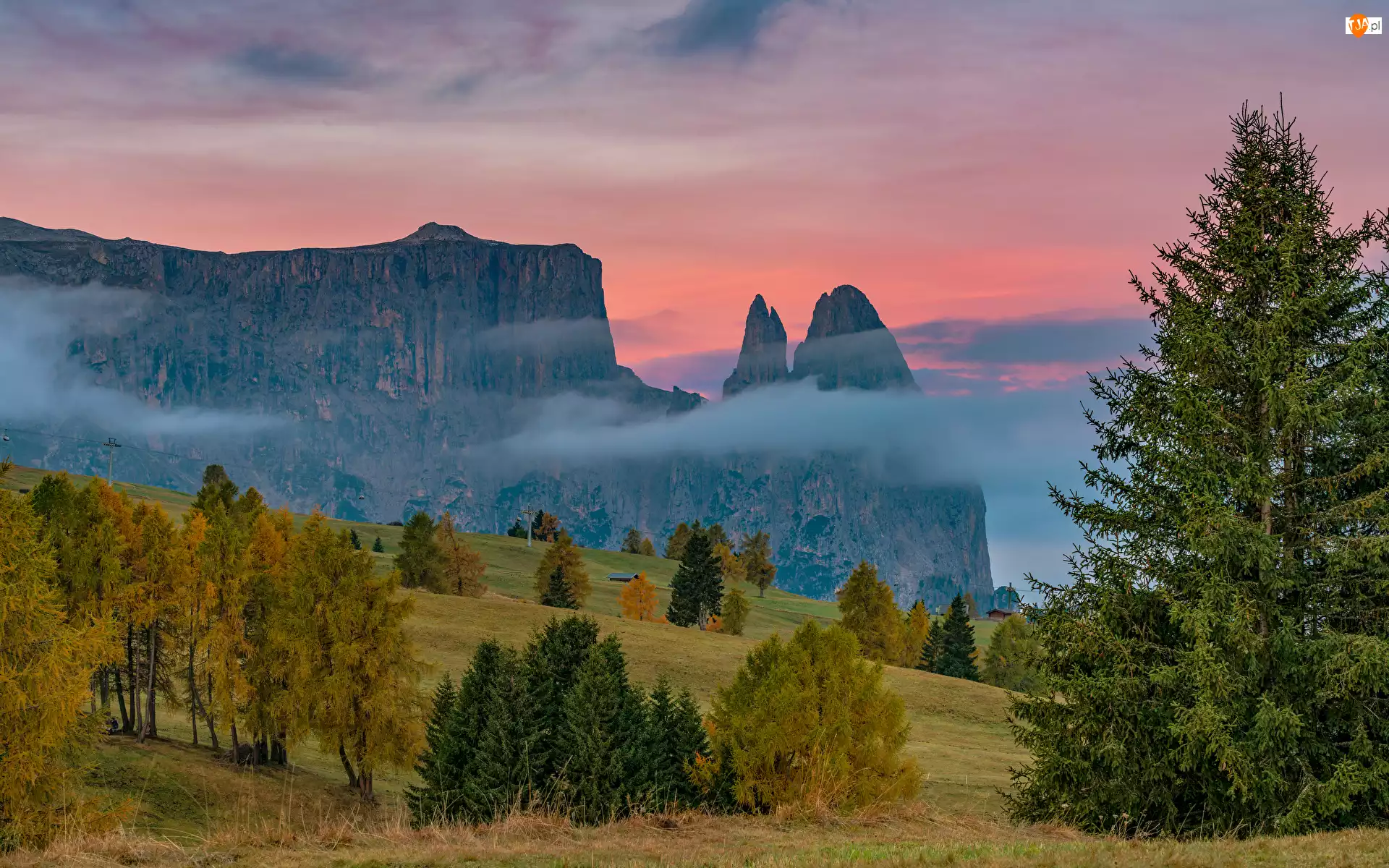 Włochy, Polana, Mgła, Drzewa, Dolomity, Góry, Skały, Góra Schlern, Las, Tyrol