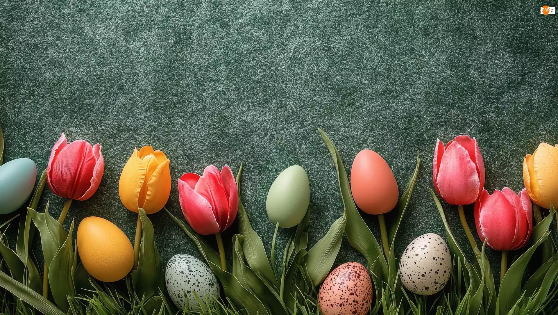 Pisanki, Tło, Kolorowe, Wielkanoc, Tulipany