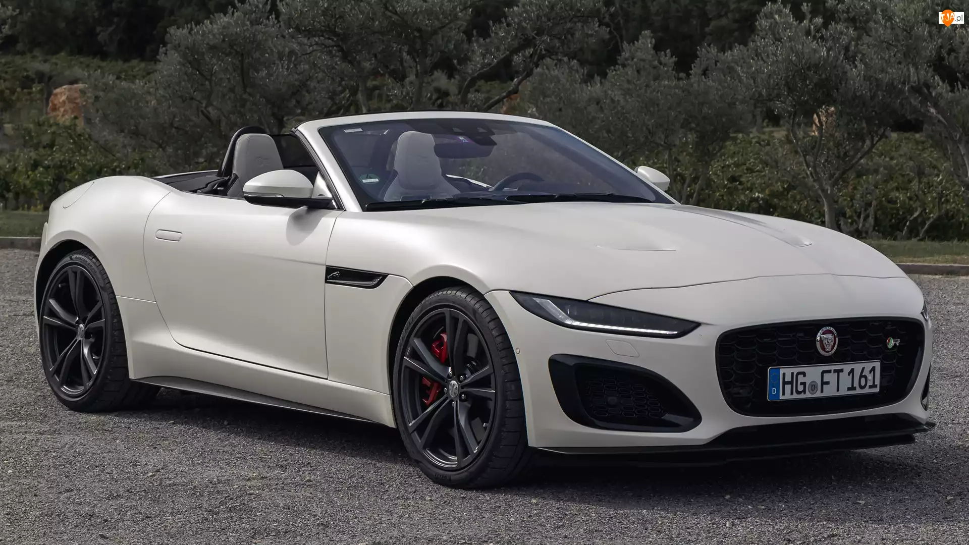Alpine, Jaguar F-Type R, Cabrio