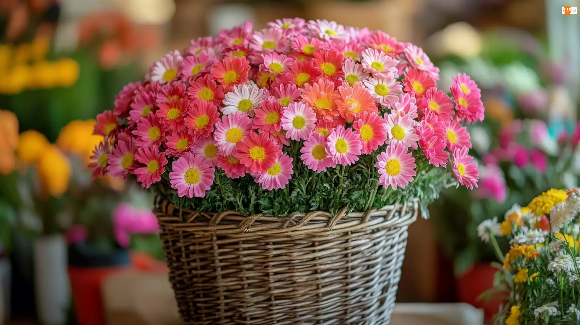 Koszyk, Kwiaty, Różowe