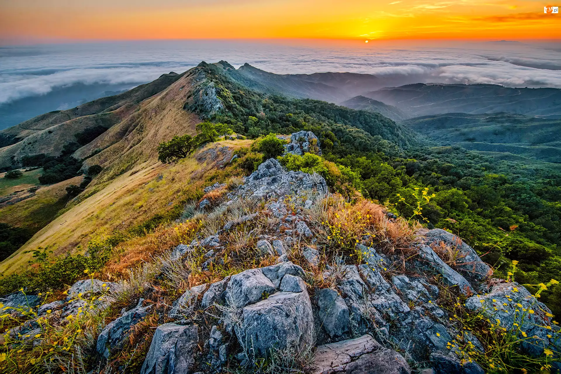 Zachód słońca, Kalifornia, Mgła, Lasy, Roślinność, Park Stanowy Fremont Peak, Góry, Stany Zjednoczone, Skały