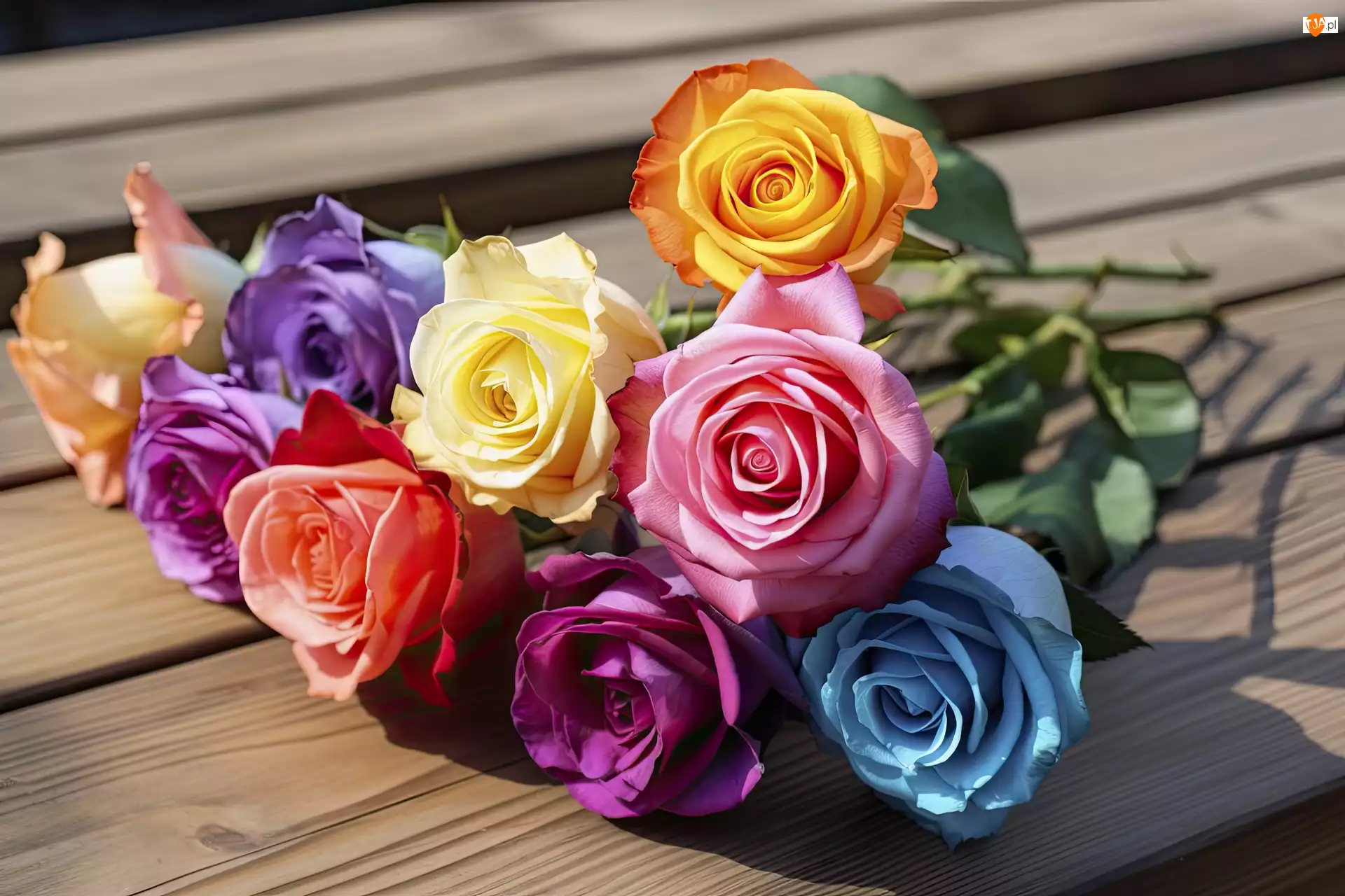 Grafika, Kolorowe, Róże, Deski