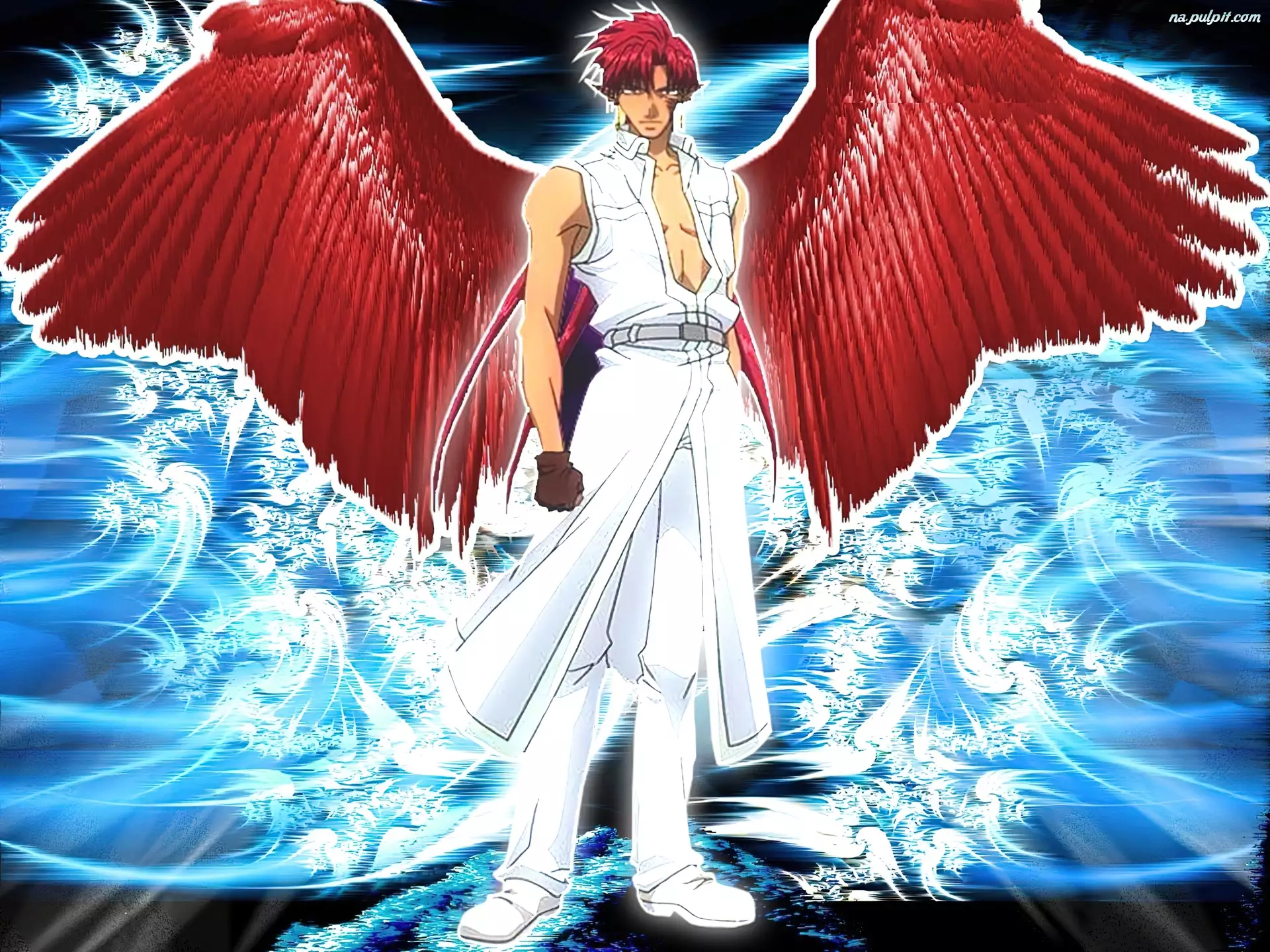 skrzydła, Saiyuki, czerwone