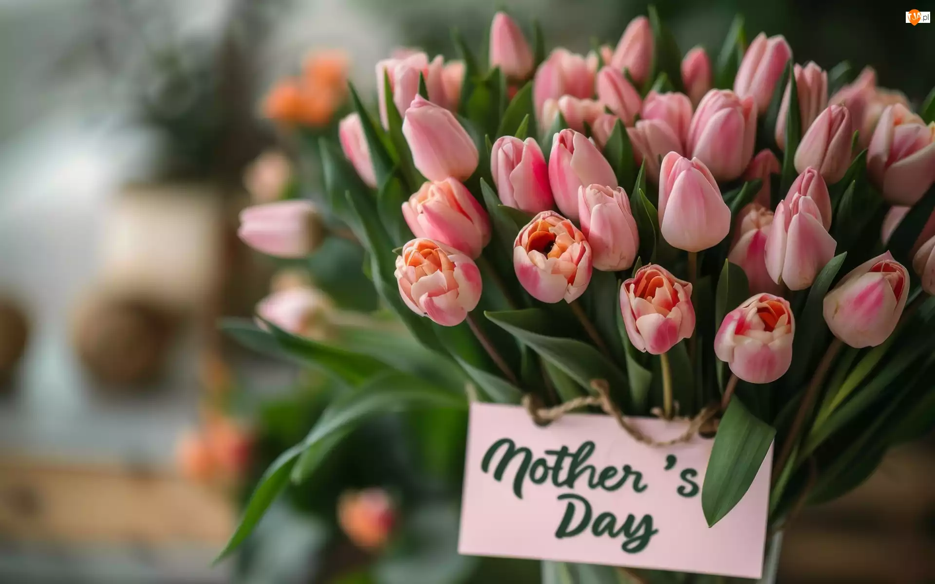 Bukiet, Dzień Matki, Różowe, Tulipany, Napis