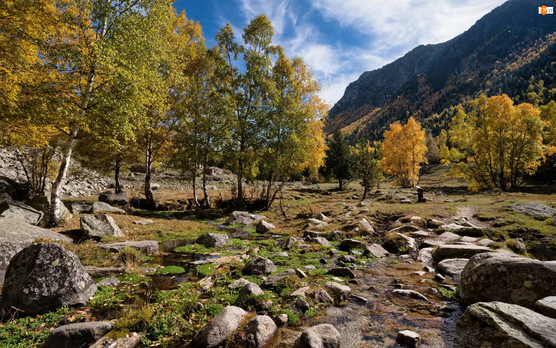 Potok, Jesień, Drzewa, Góry, Kamienie