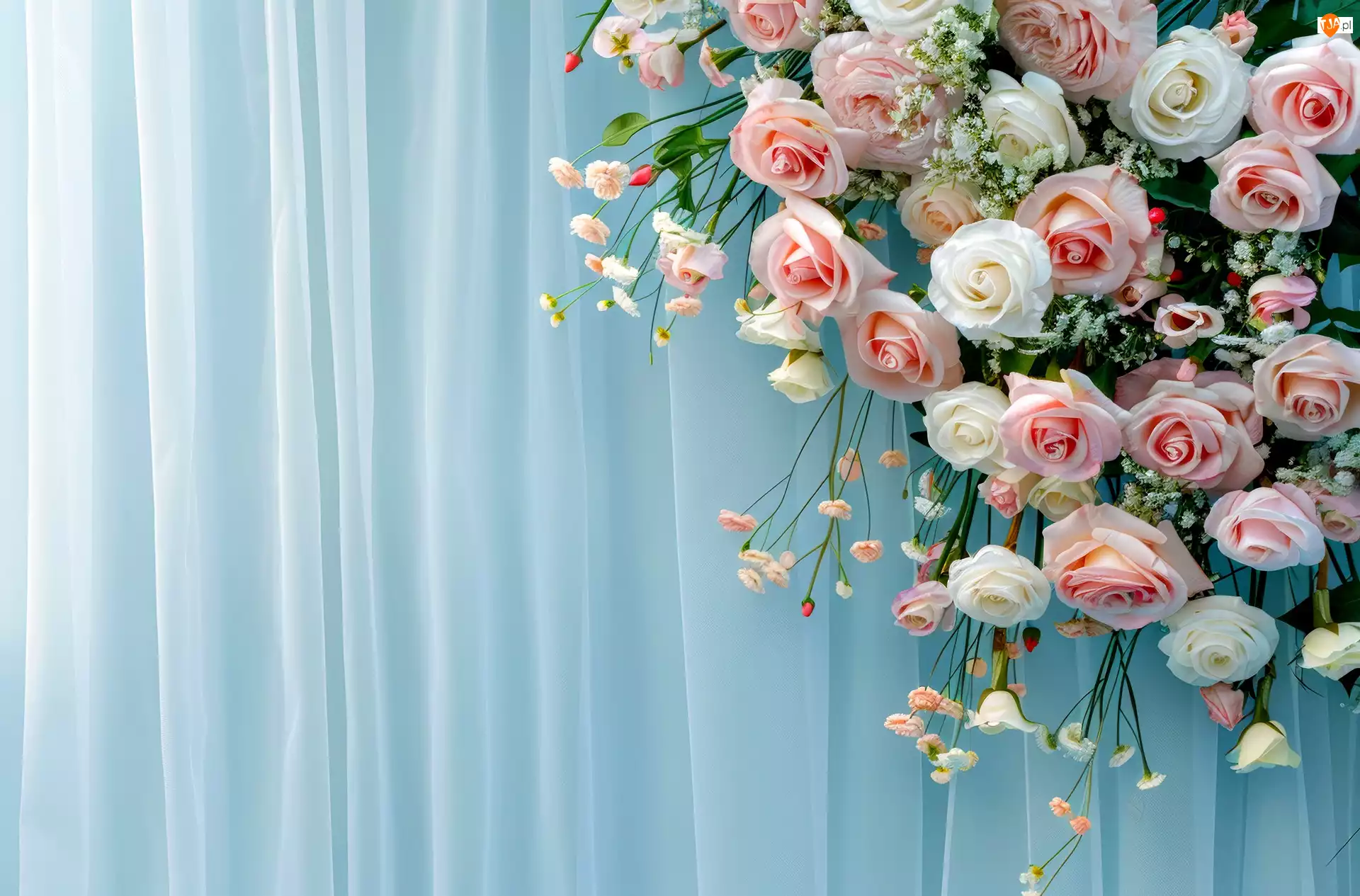 Grafika, Róże, Kwiaty, Tkanina