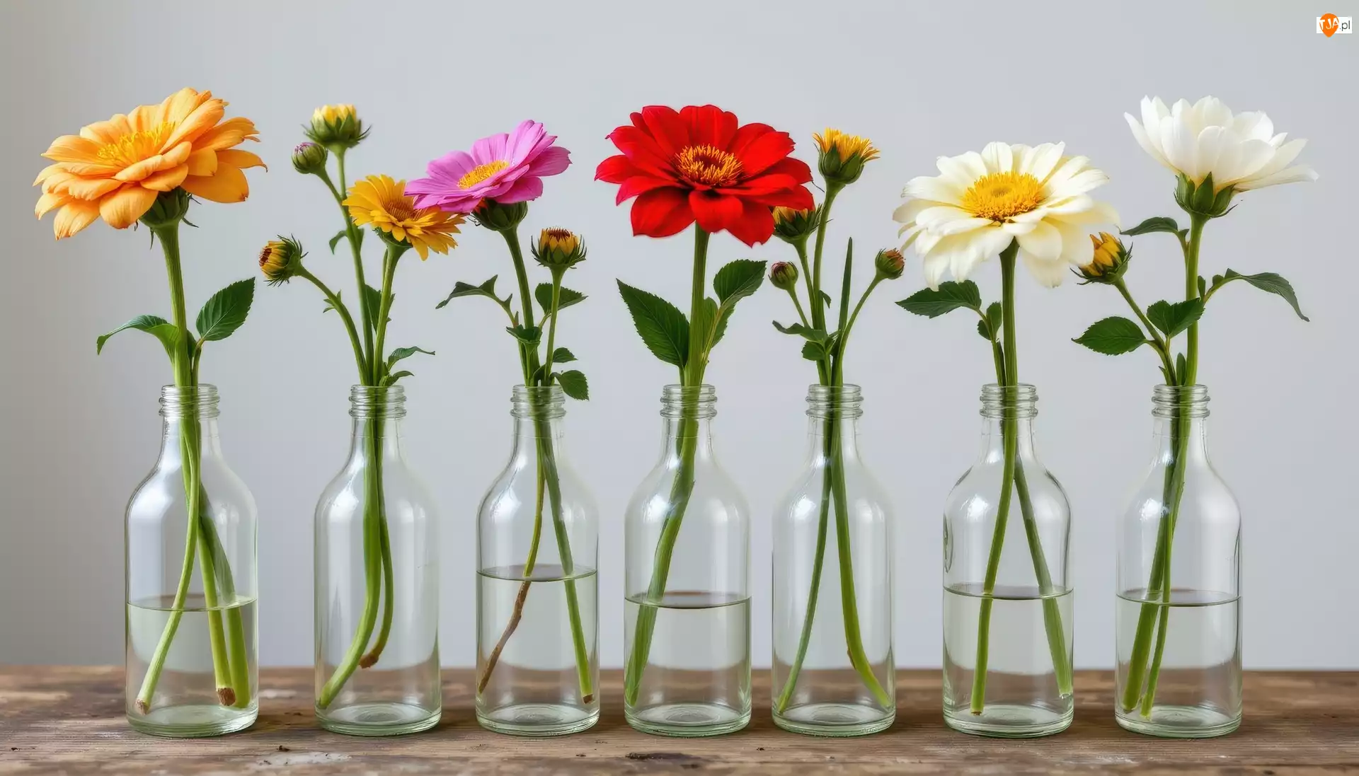 Butelki, Kolorowe, Kwiaty