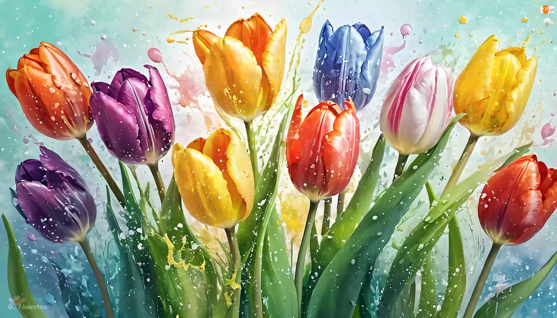 Grafika, Kolorowe, Rozkwitające, Tulipany