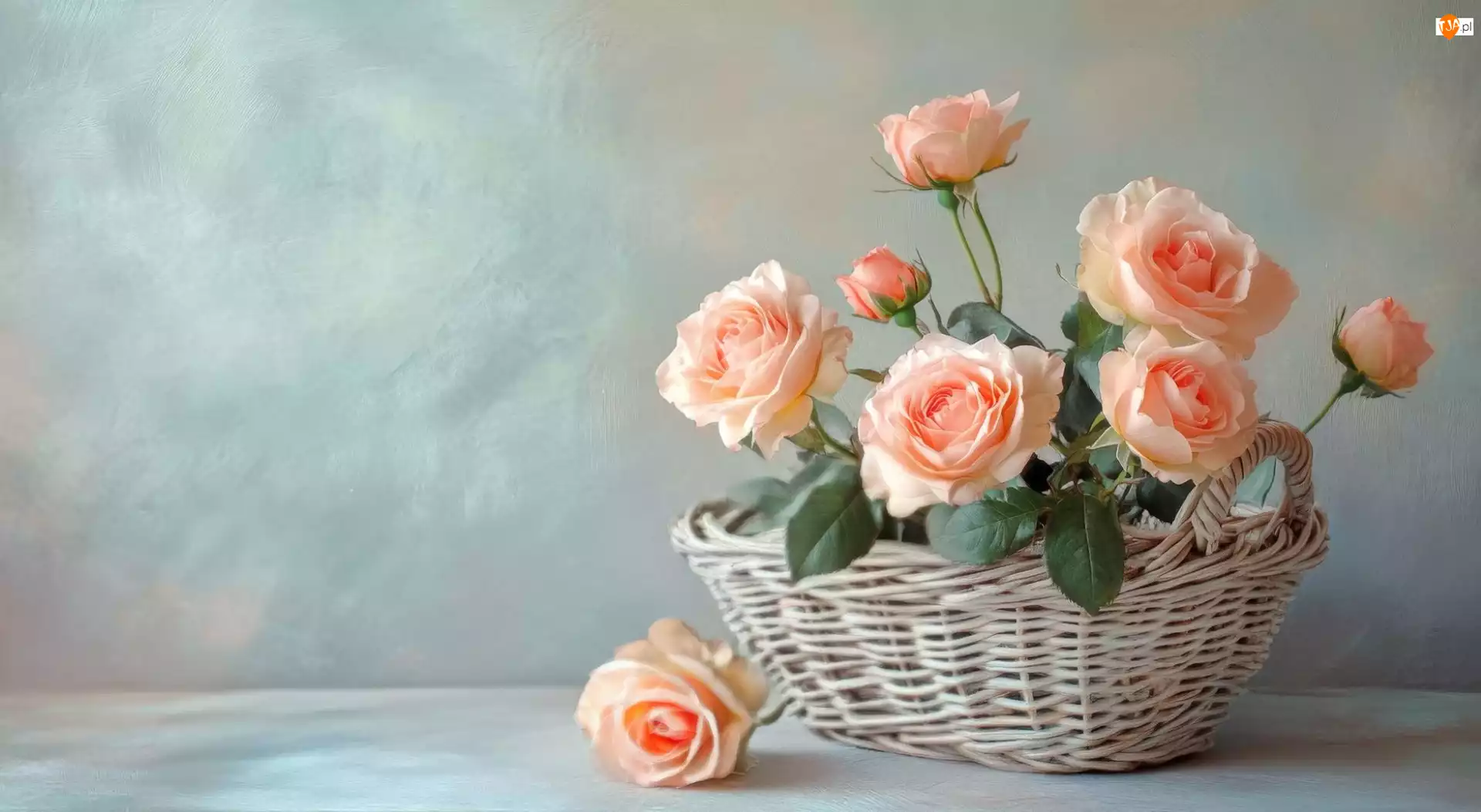 Różowe, Tło, Róże, Kwiaty, Koszyk