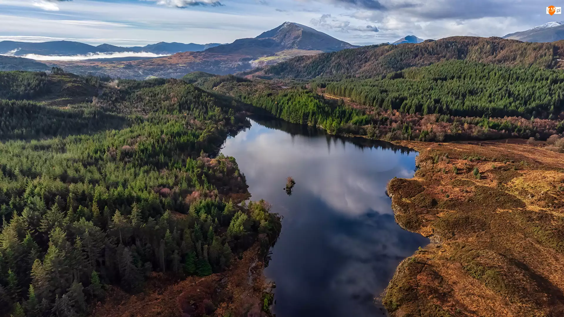 Lasy, Wielka Brytania, Jezioro, Drzewa, Walia, Llyn Bodgynydd, Z lotu ptaka, Góry