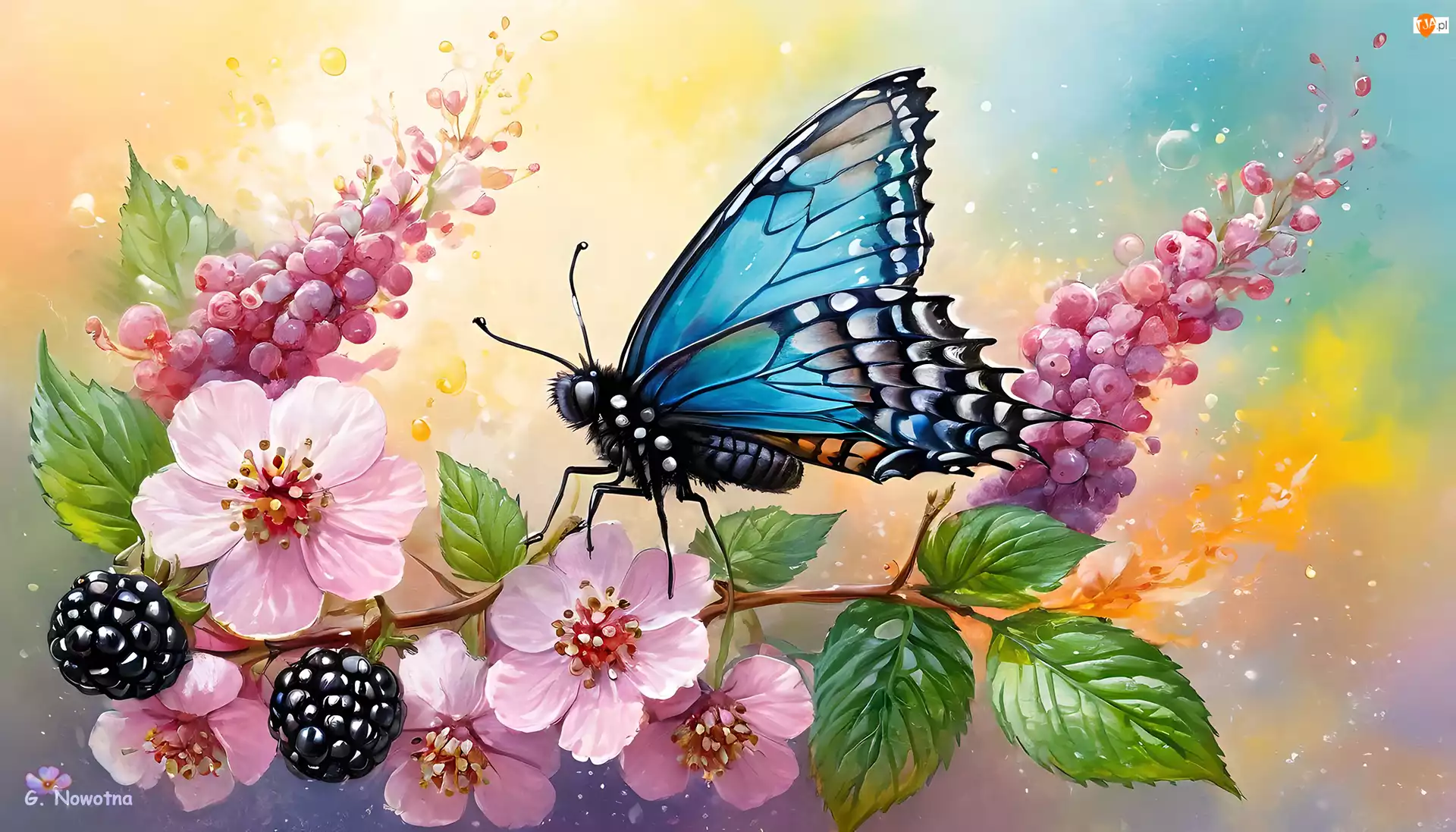 Różowe, Kwiaty, Grafika, Jeżyny, Motyl, Niebieski, Liście