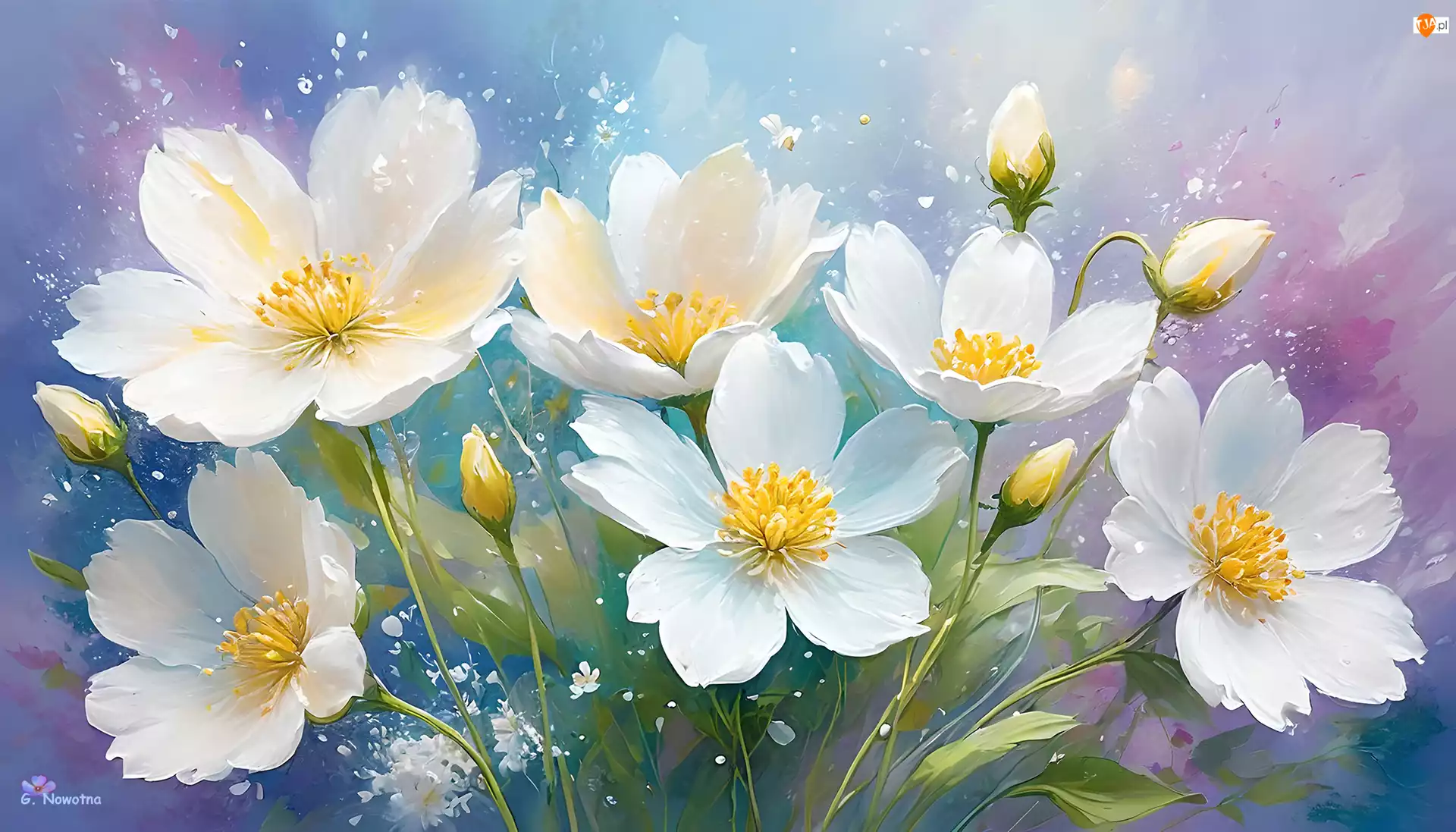 Kolorowe, Grafika, Kwiaty, Białe, Tło