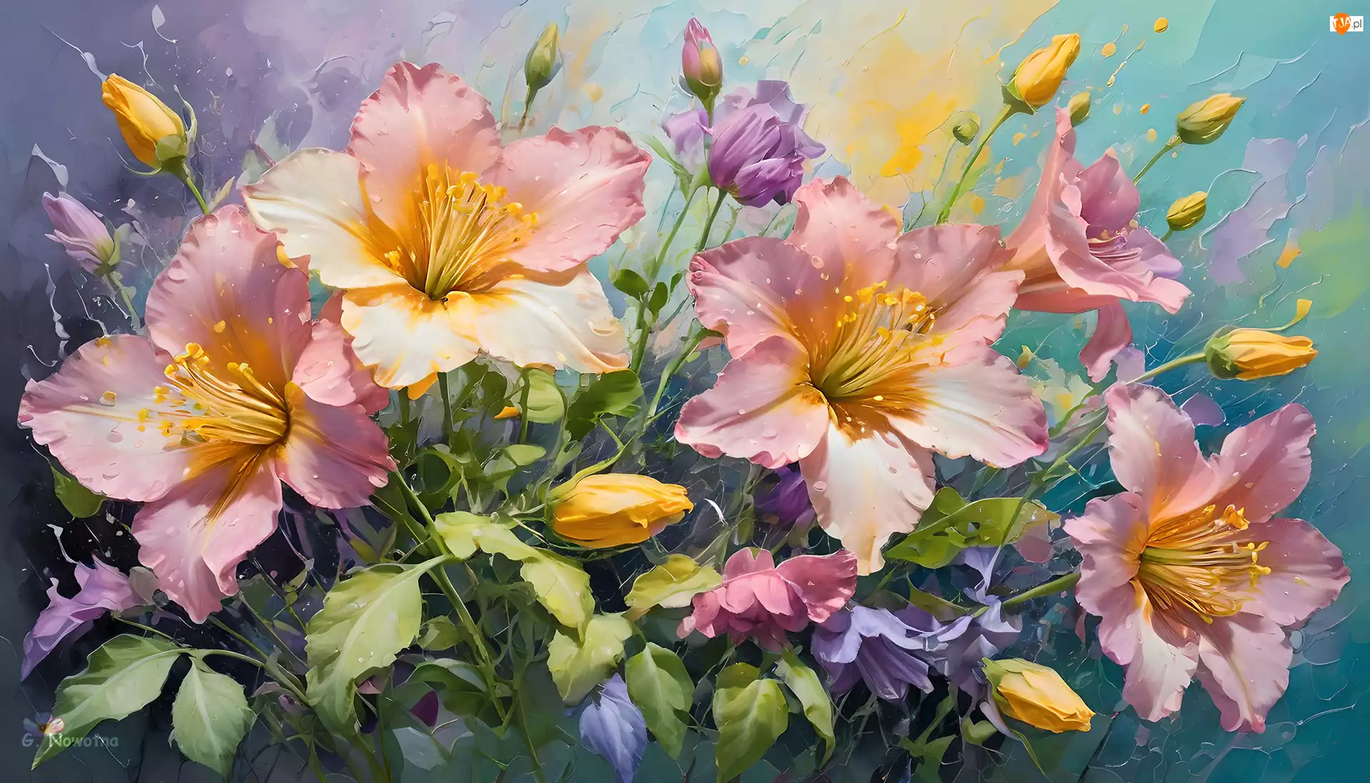 Grafika, Różowe, Kwiaty