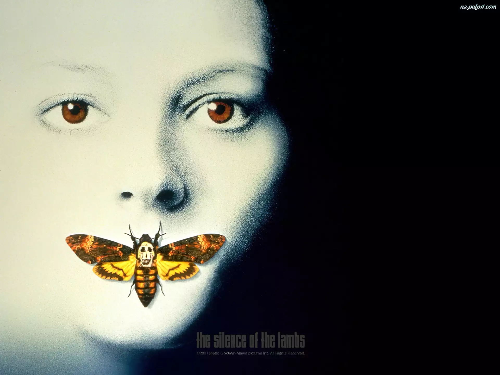 oczy, motyl, twarz, The Silence Of The Lumbs, owad