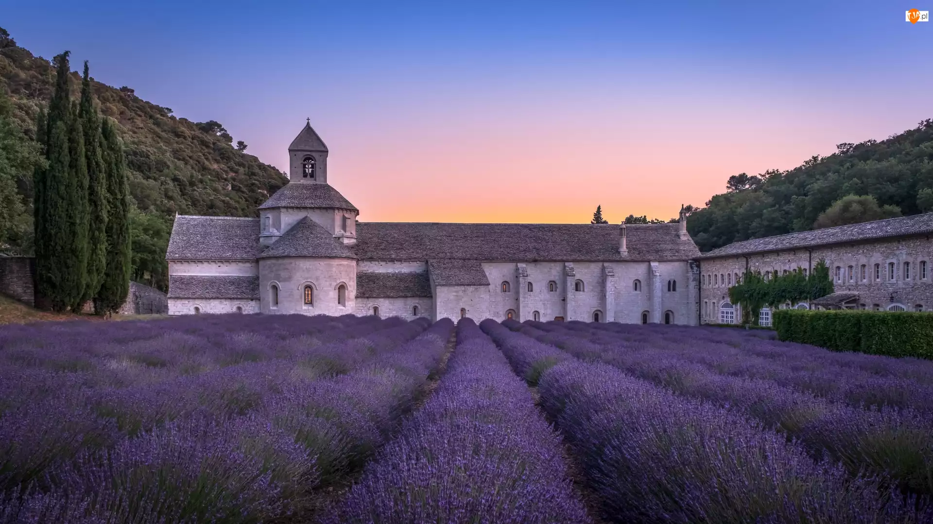 Prowansja, Francja, Lawenda, Drzewa, Pole, Klasztor