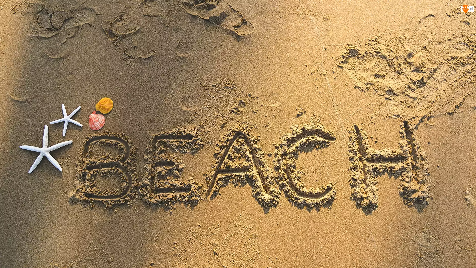 Muszelki, Beach, Rozgwiazdy, Plaża, Napis