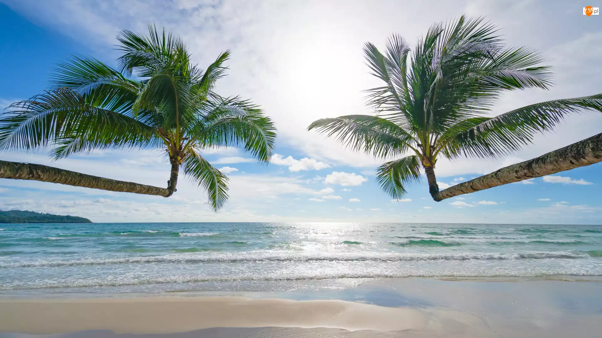 Morze, Plaża, Dwie, Palmy