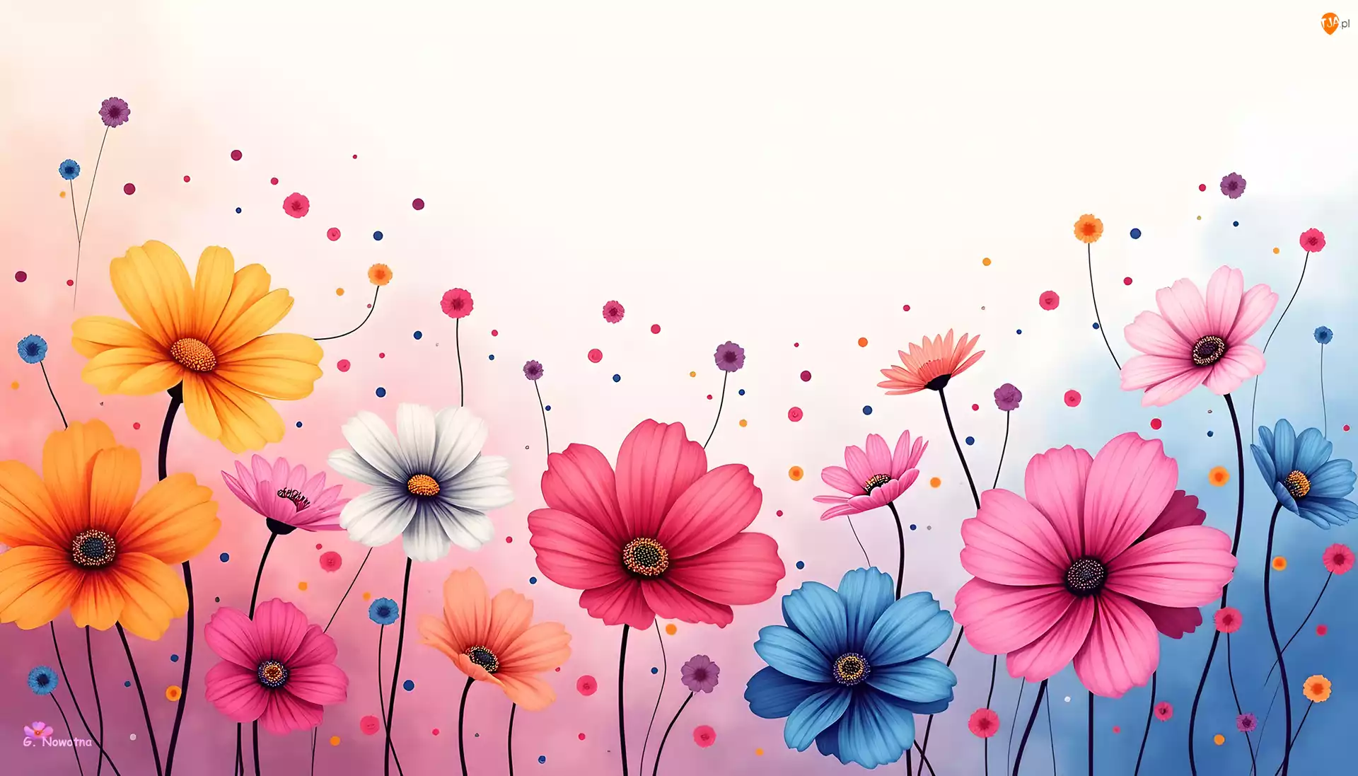Grafika, Kolorowe, Kwiaty