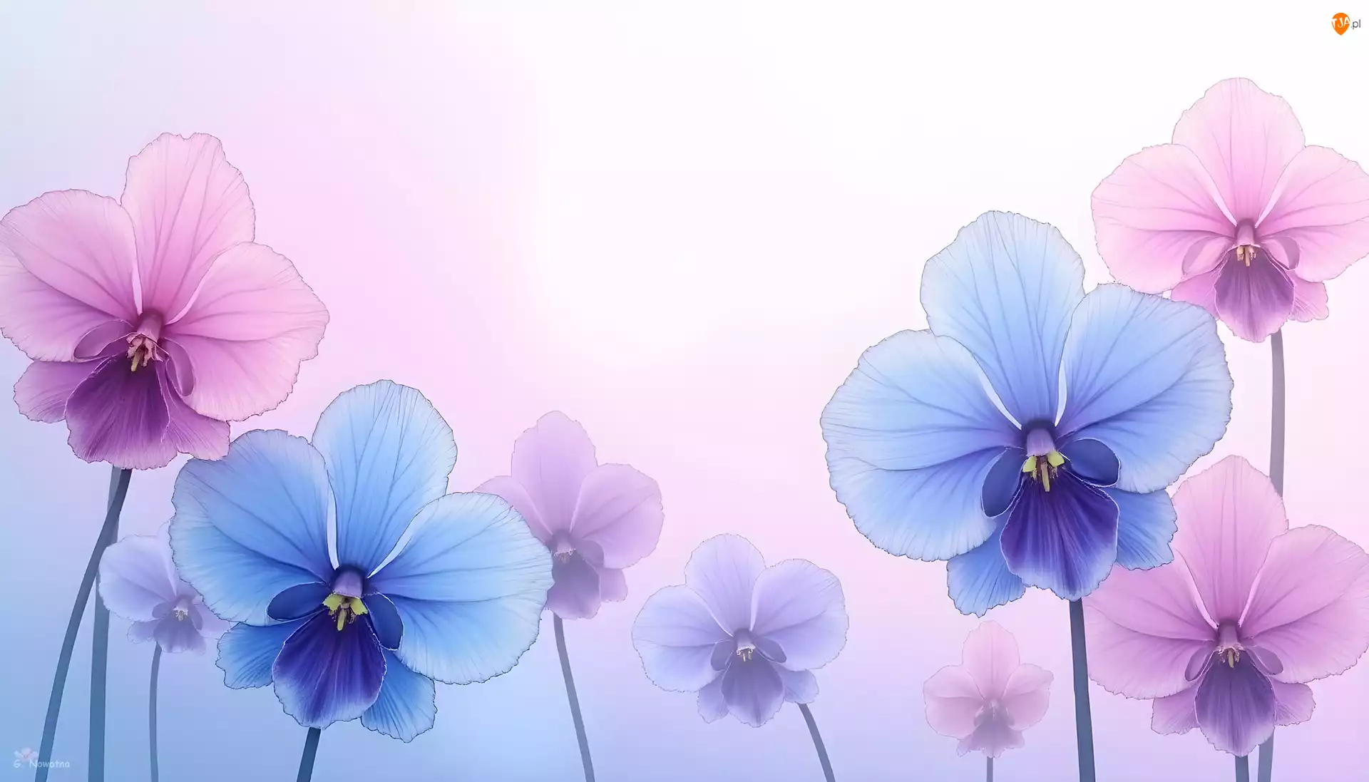 Grafika AI, Różowe, Niebieskie, Kwiaty