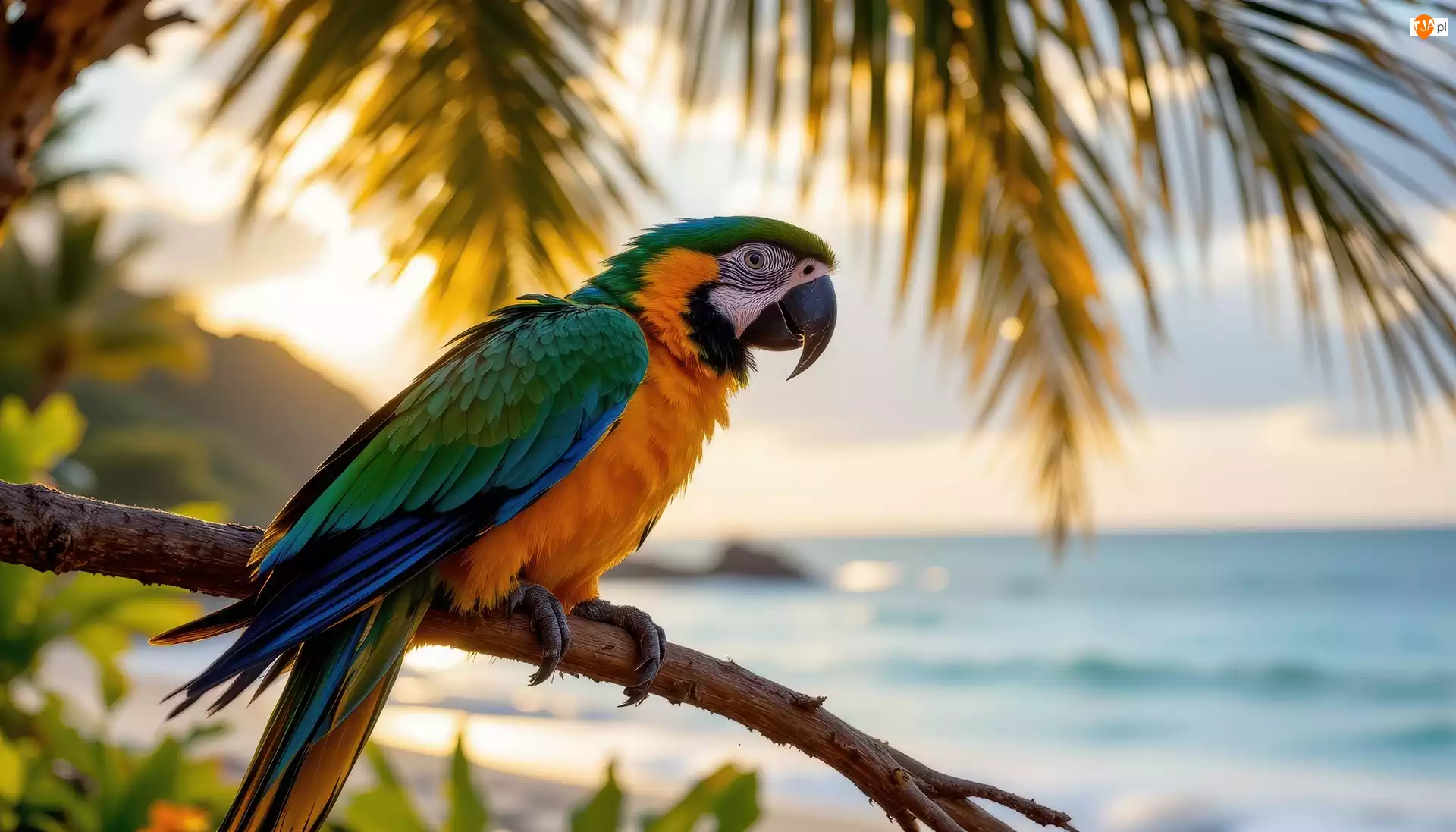 Gałąź, Grafika AI, Ara, Papuga, Morze